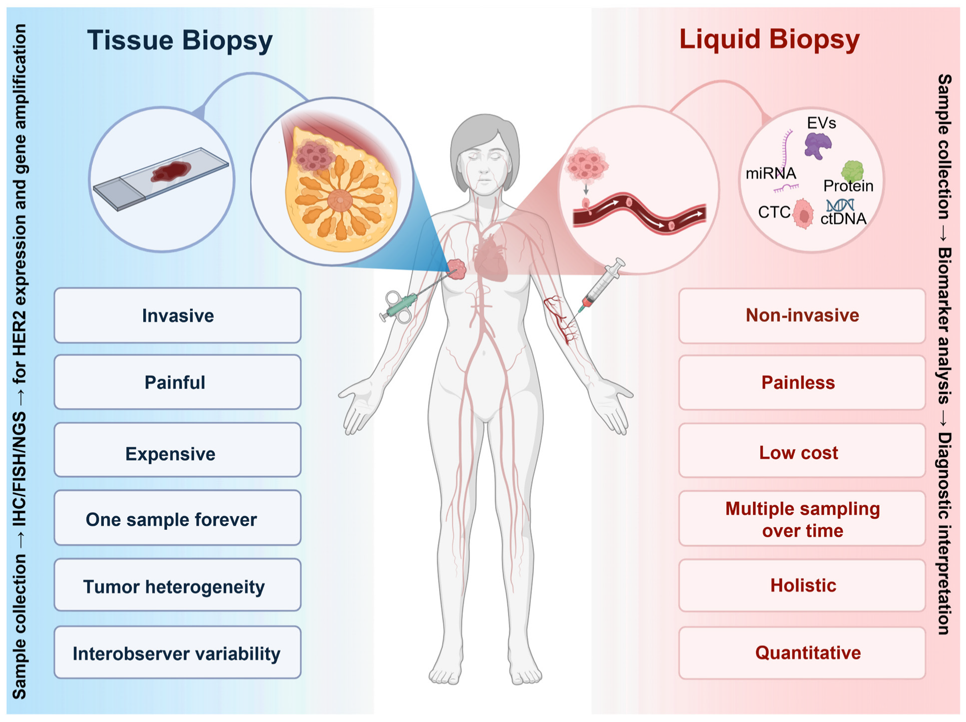 Biomedicines 14 00049 g003