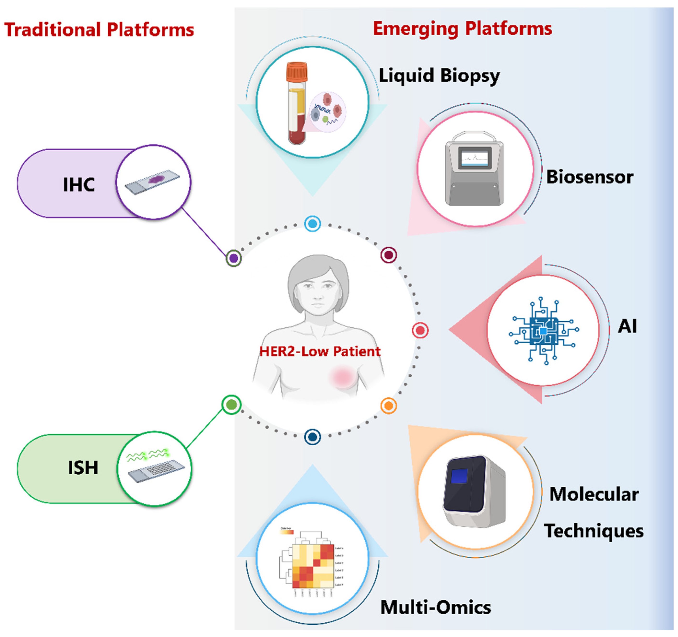 Biomedicines 14 00049 g005
