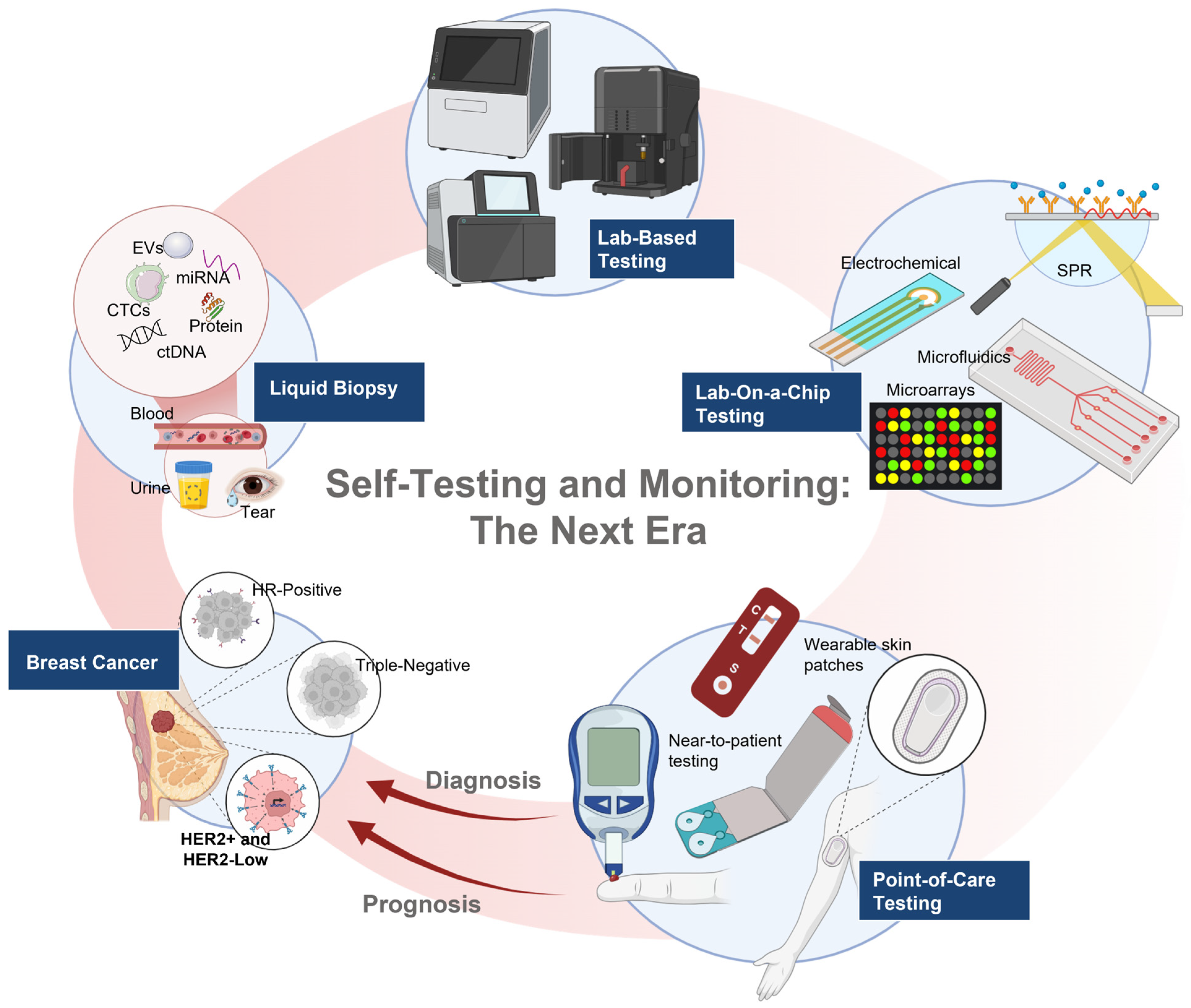 Biomedicines 14 00049 g006