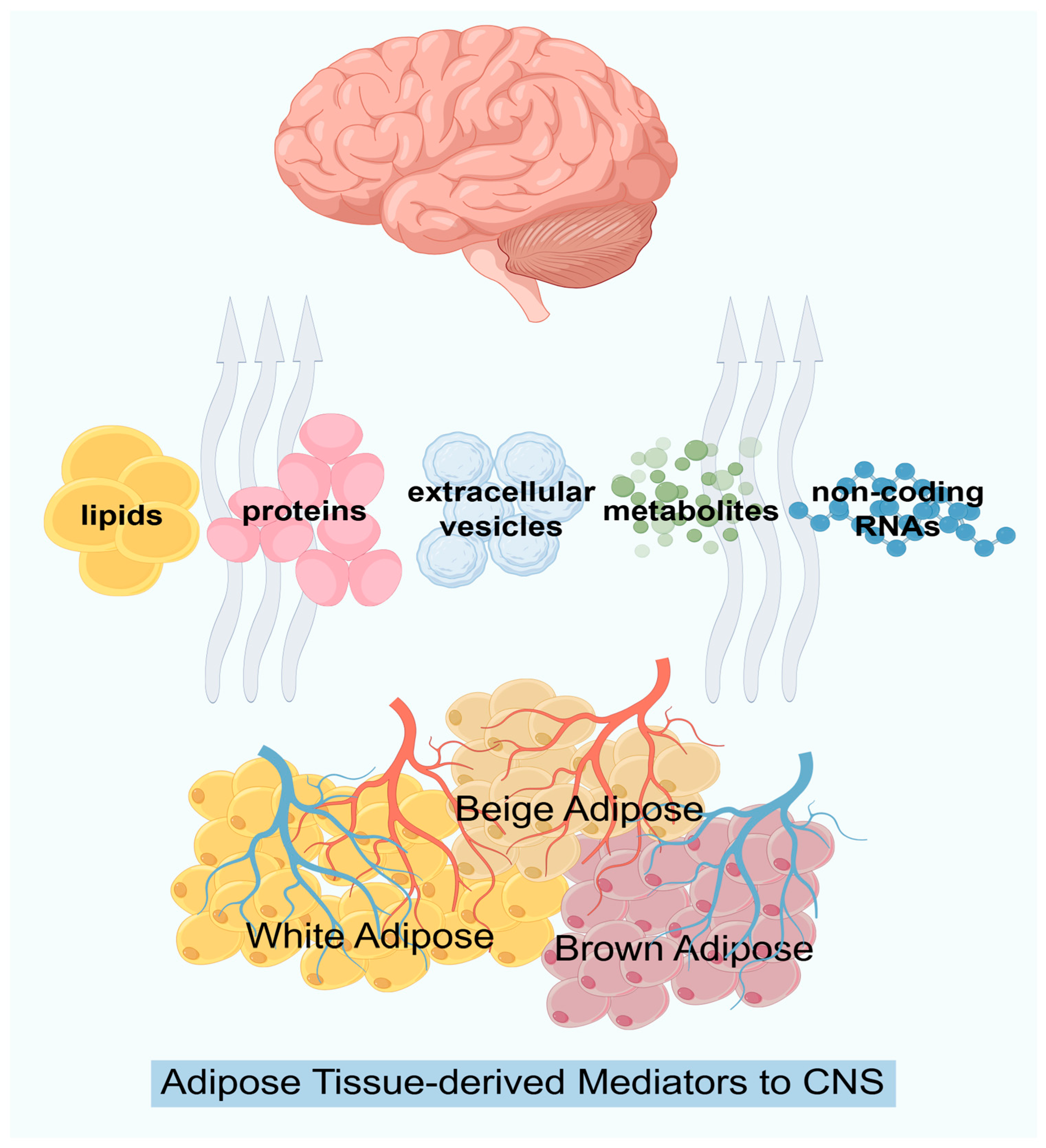 Biomedicines 14 00054 g002