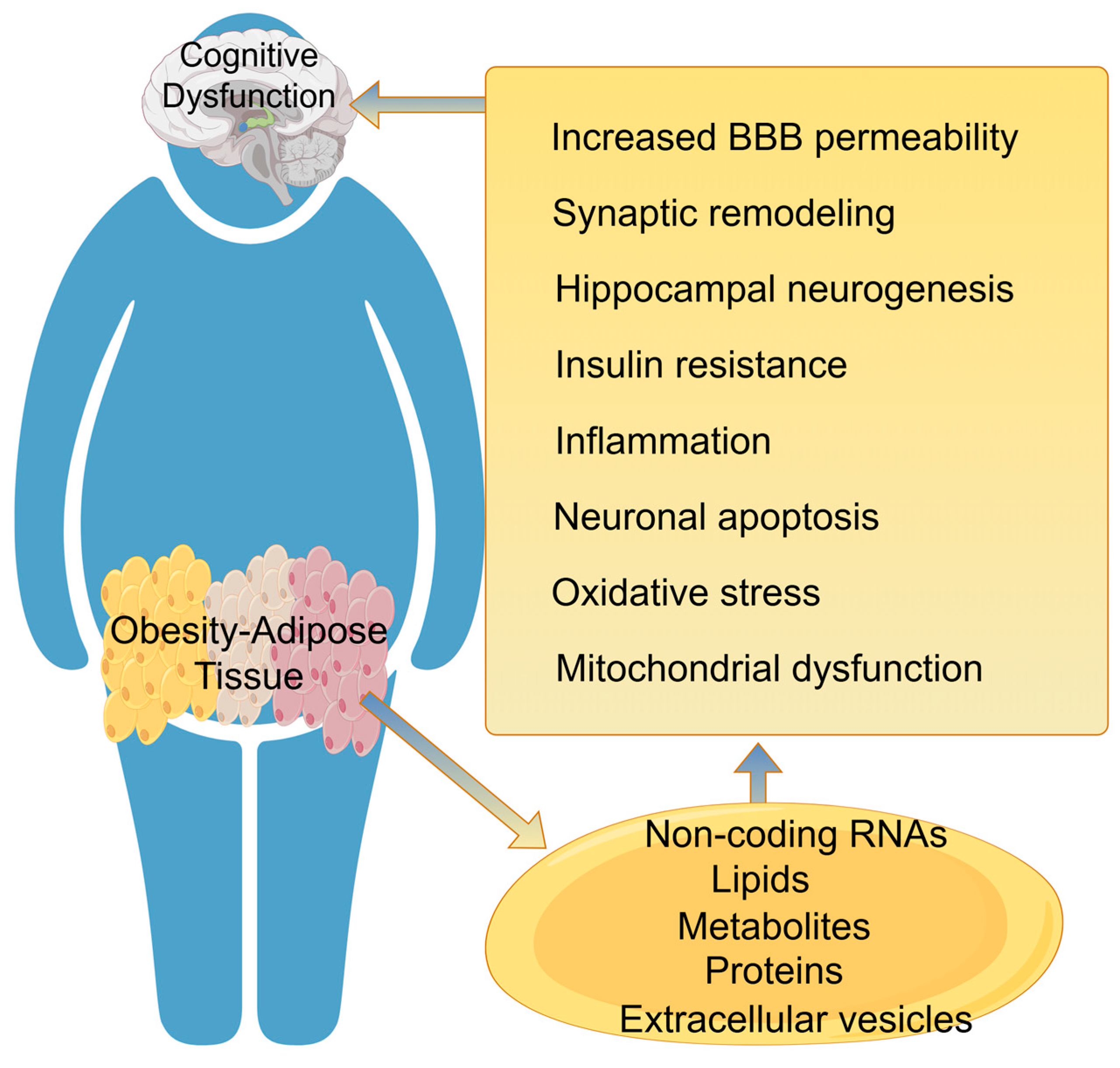 Biomedicines 14 00054 g004