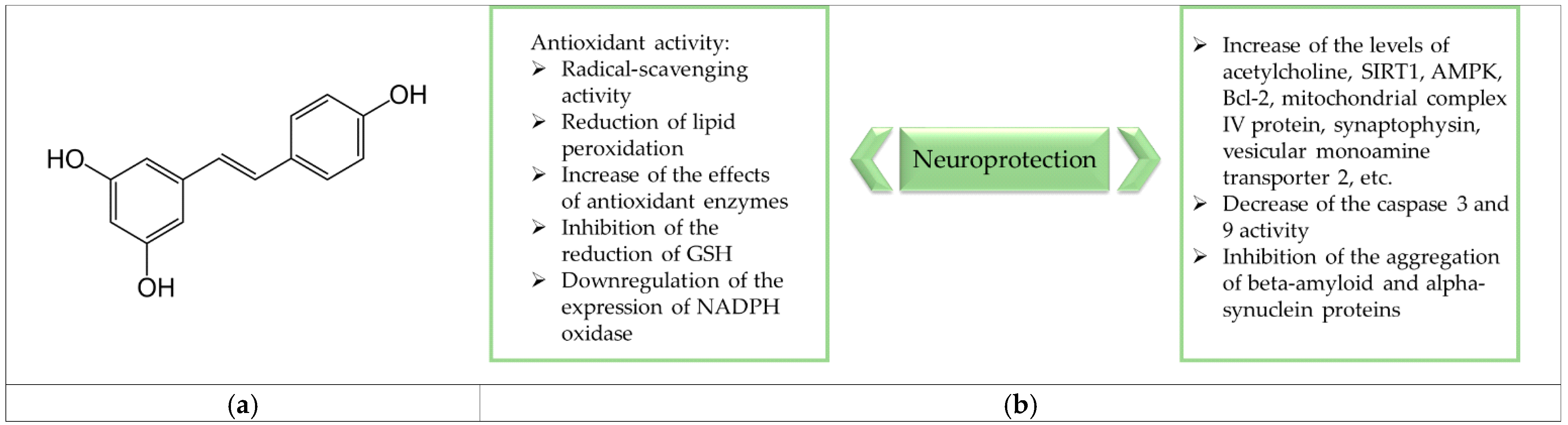Biomedicines 14 00063 g001