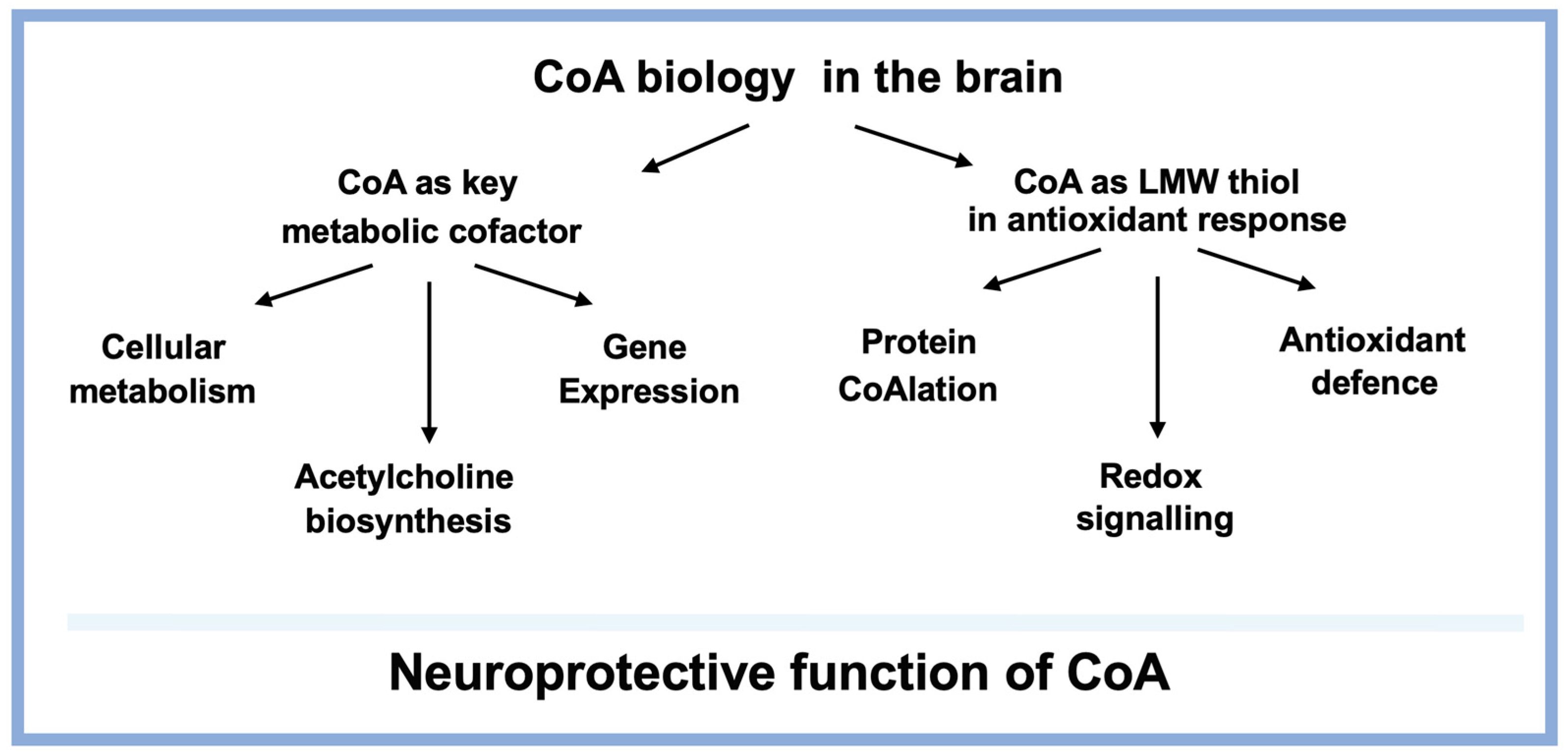 Biomedicines 14 00069 g005