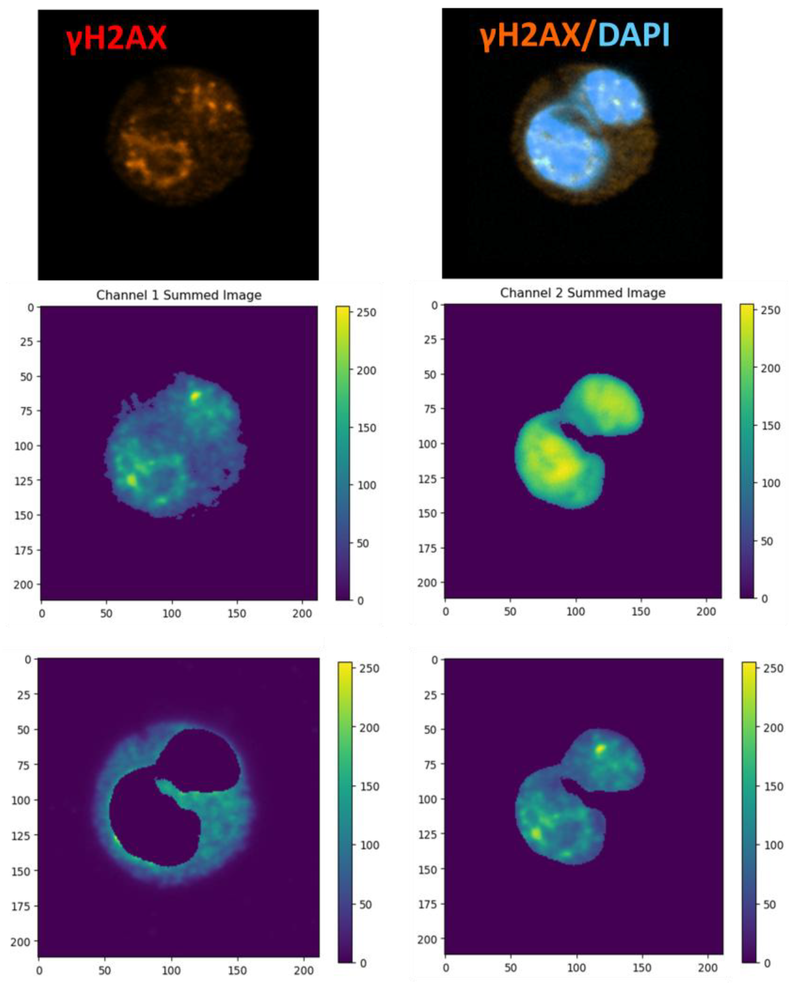 Biomedicines 14 00071 g002
