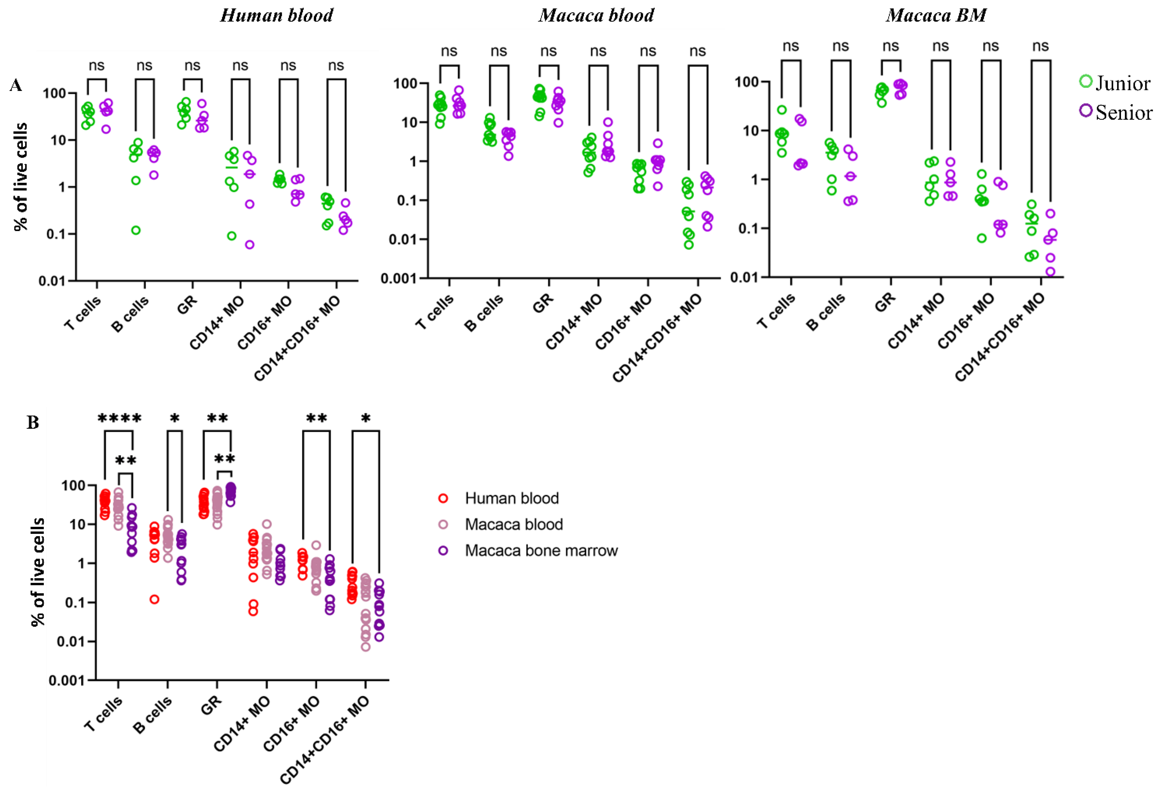 Biomedicines 14 00071 g003