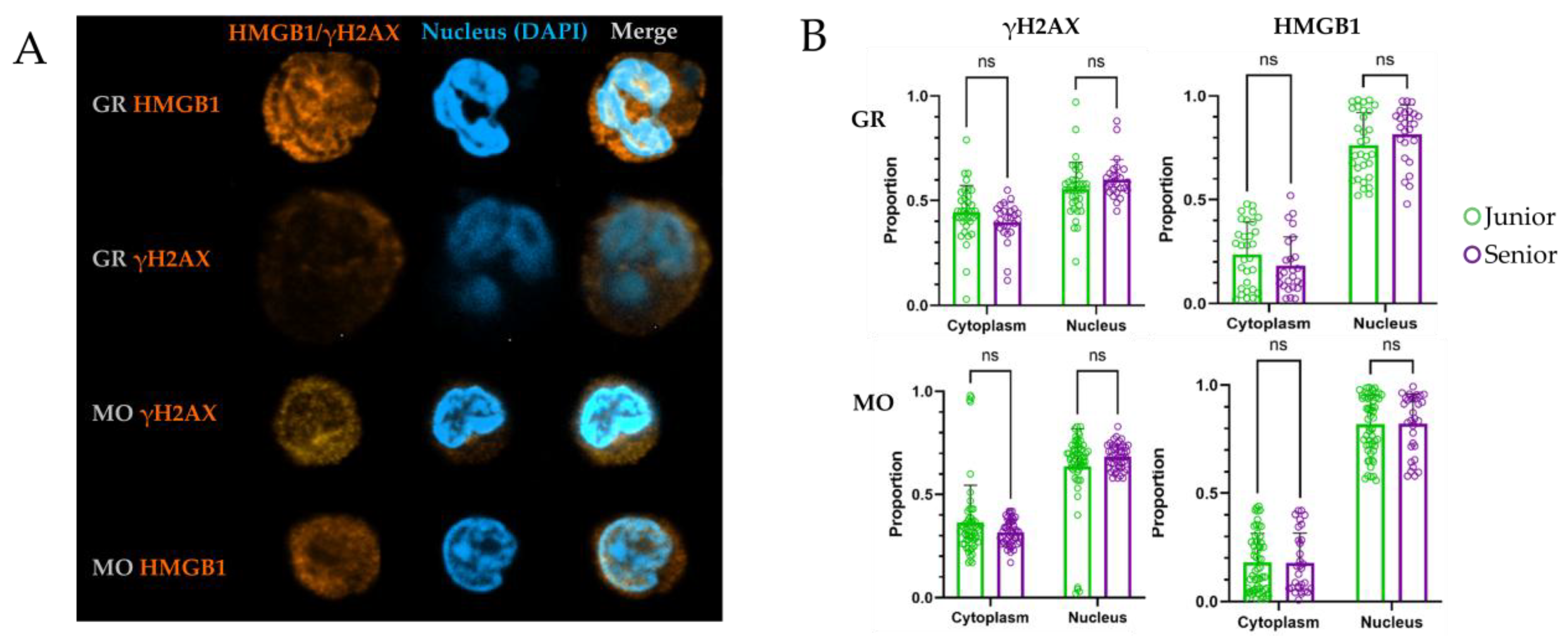 Biomedicines 14 00071 g004