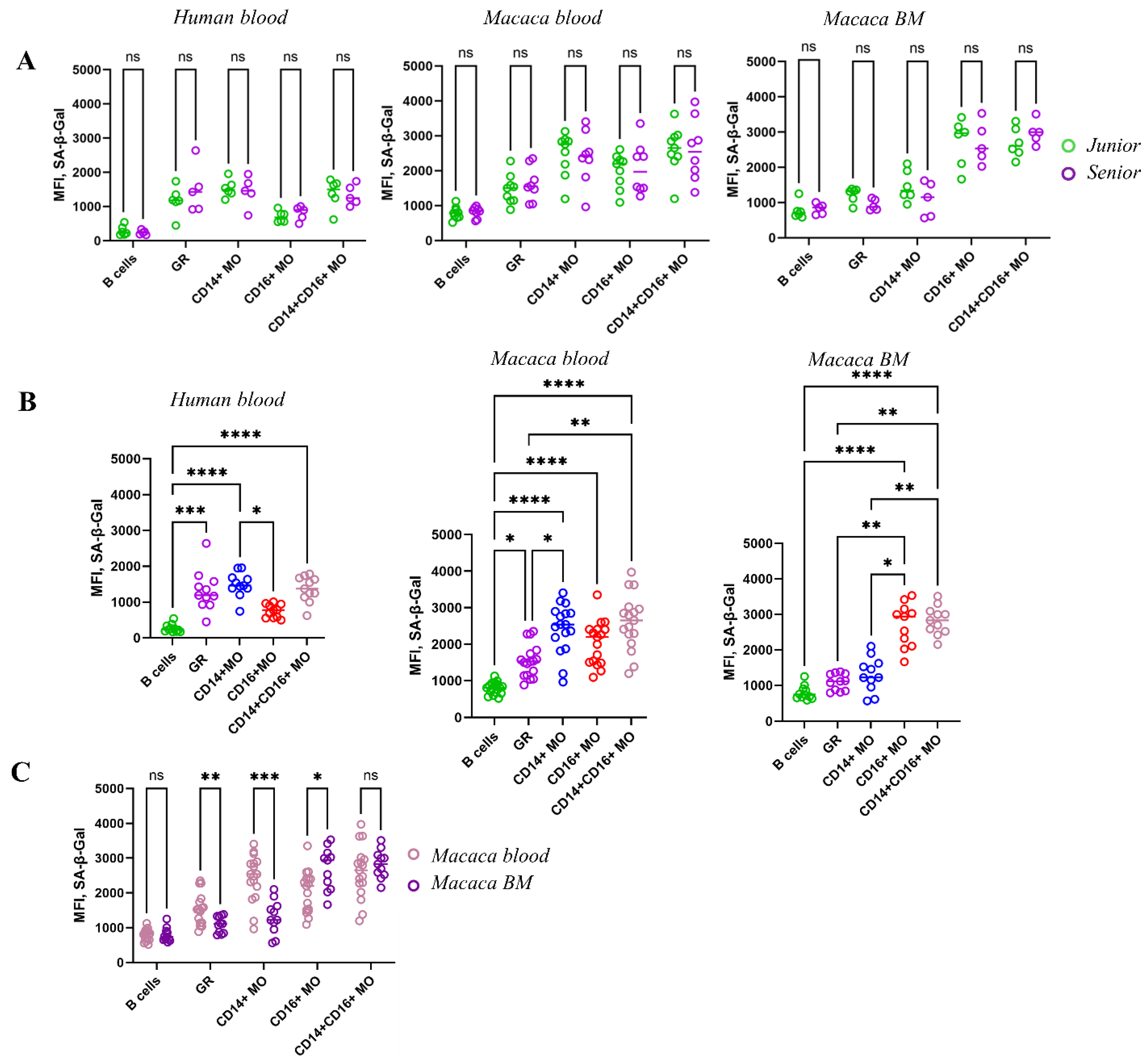 Biomedicines 14 00071 g005