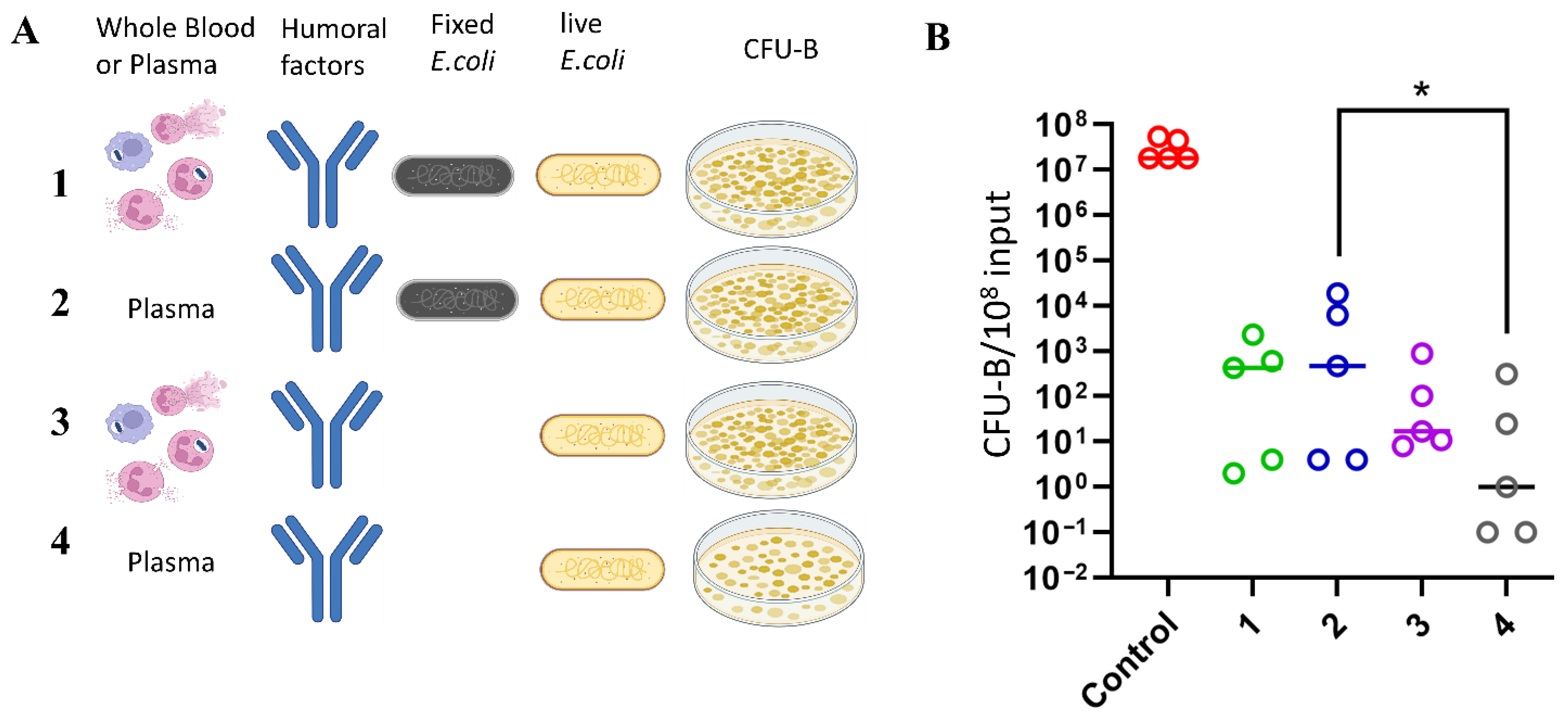 Biomedicines 14 00071 g008