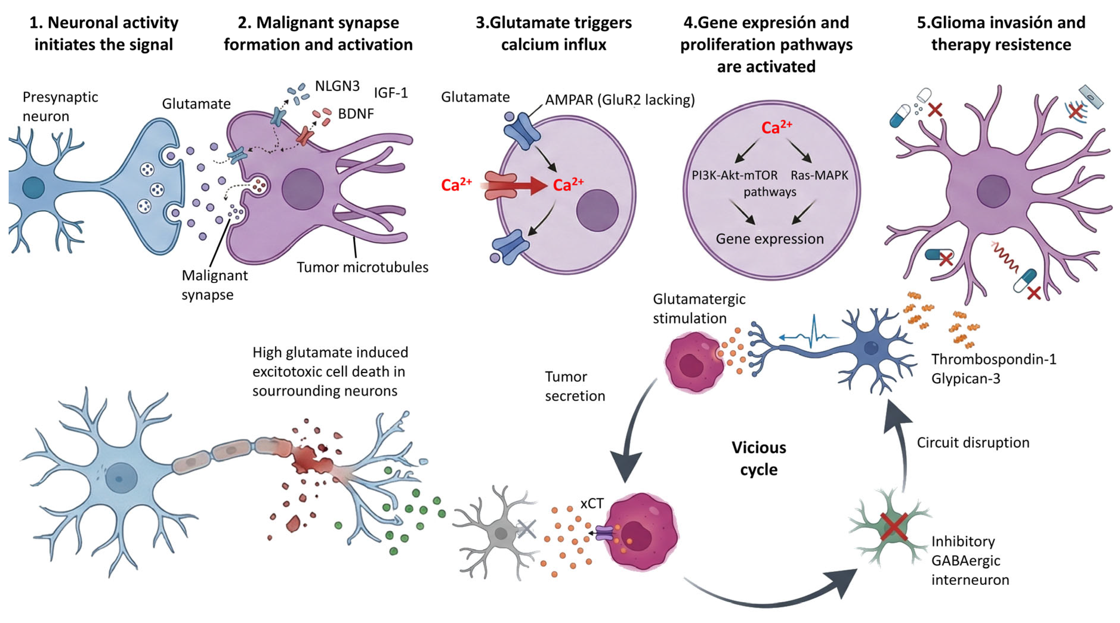 Biomedicines 14 00072 g002