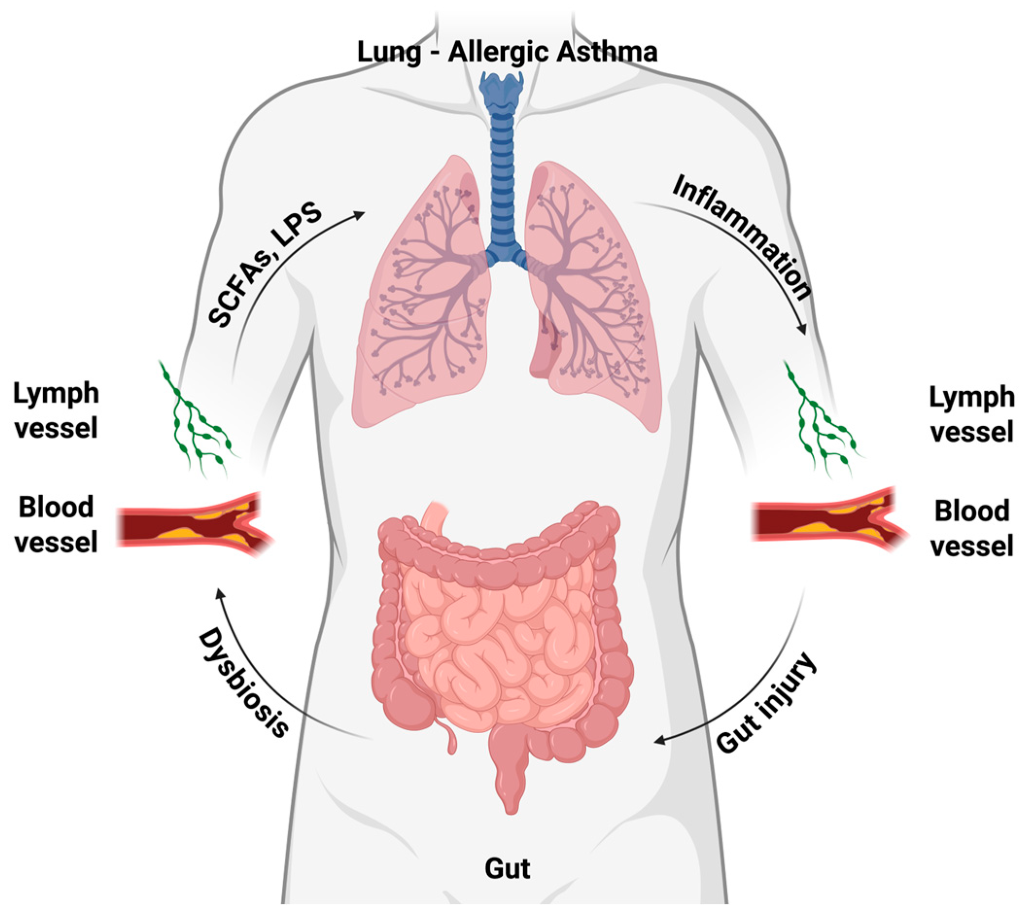 Biomedicines 14 00073 g002