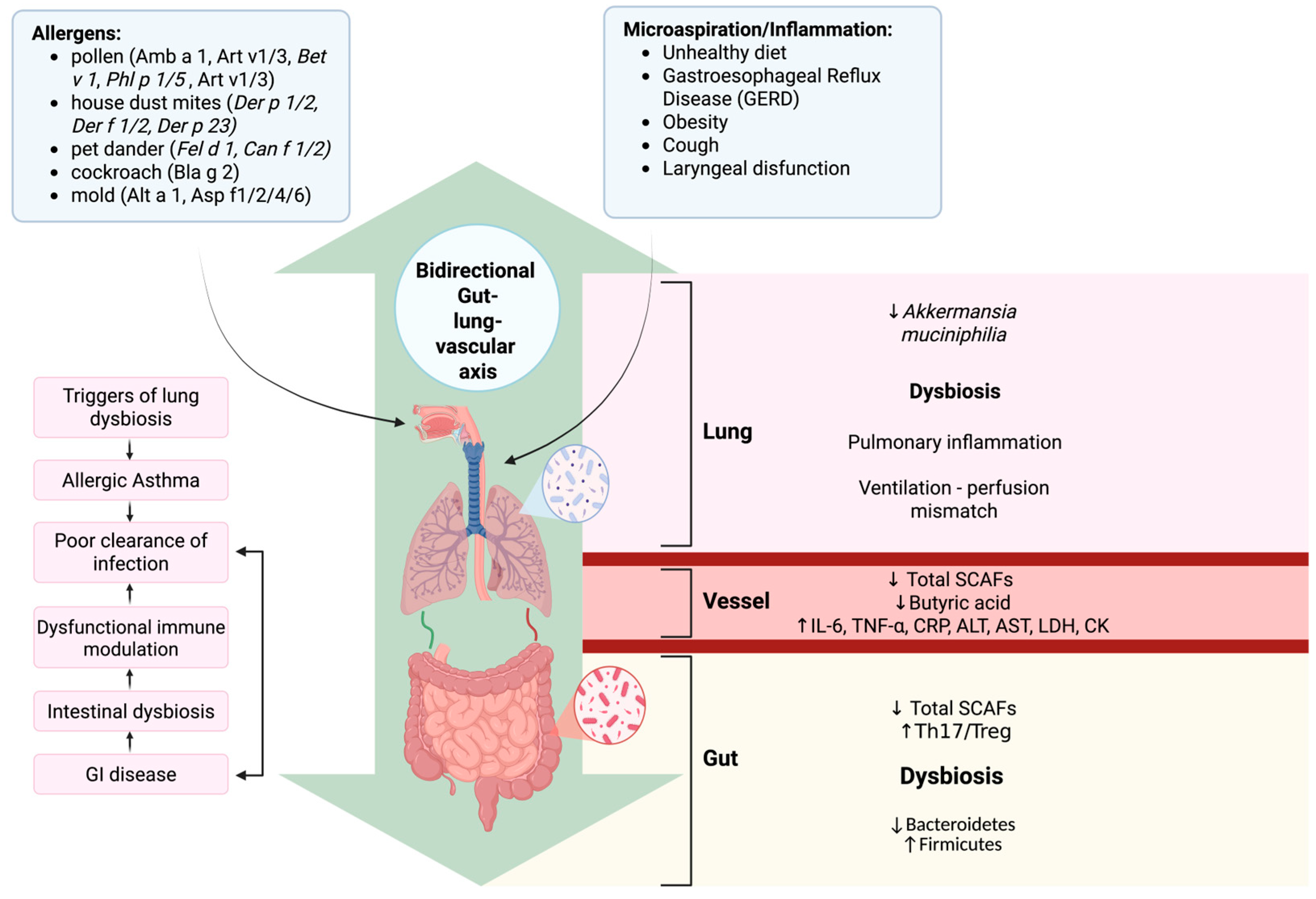 Biomedicines 14 00073 g003
