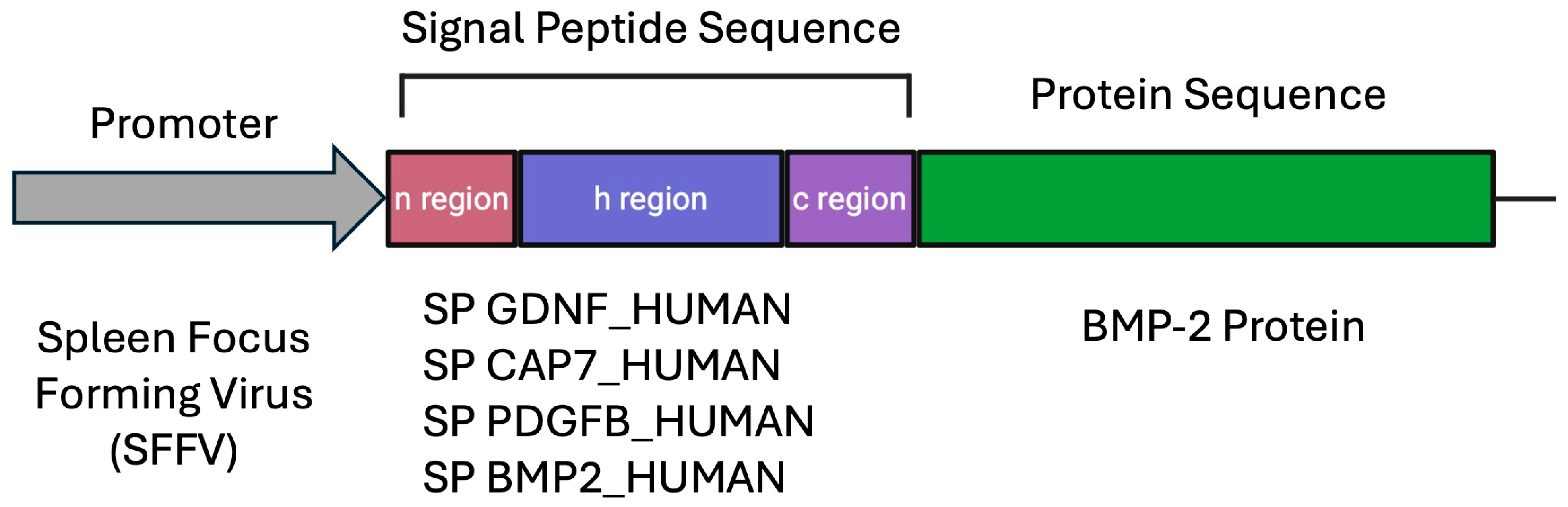 Biomedicines 14 00076 g002