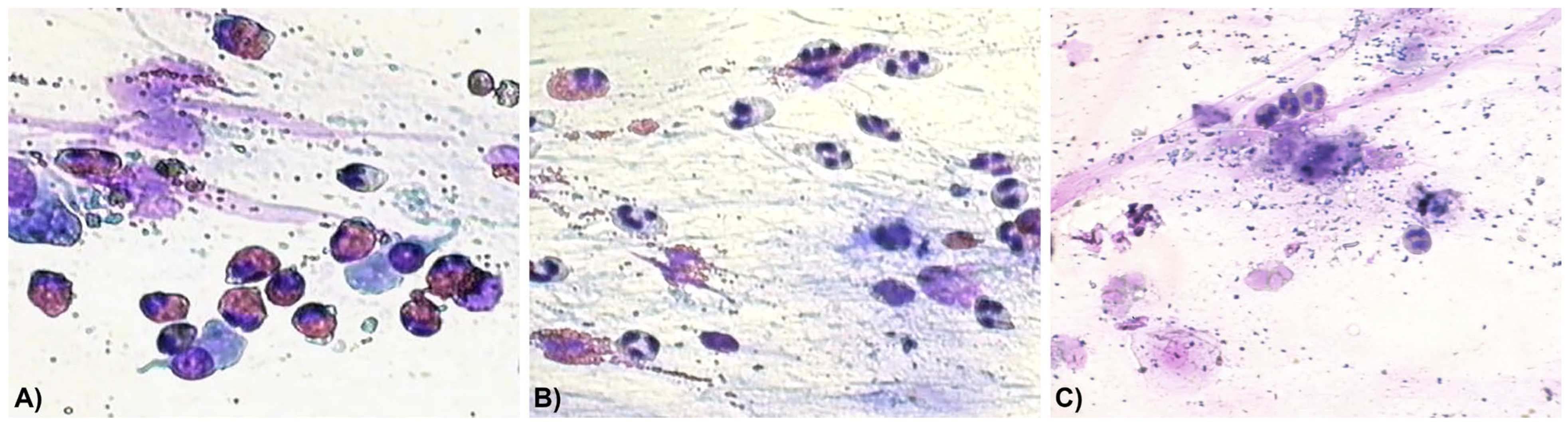 Biomedicines 14 00077 g003