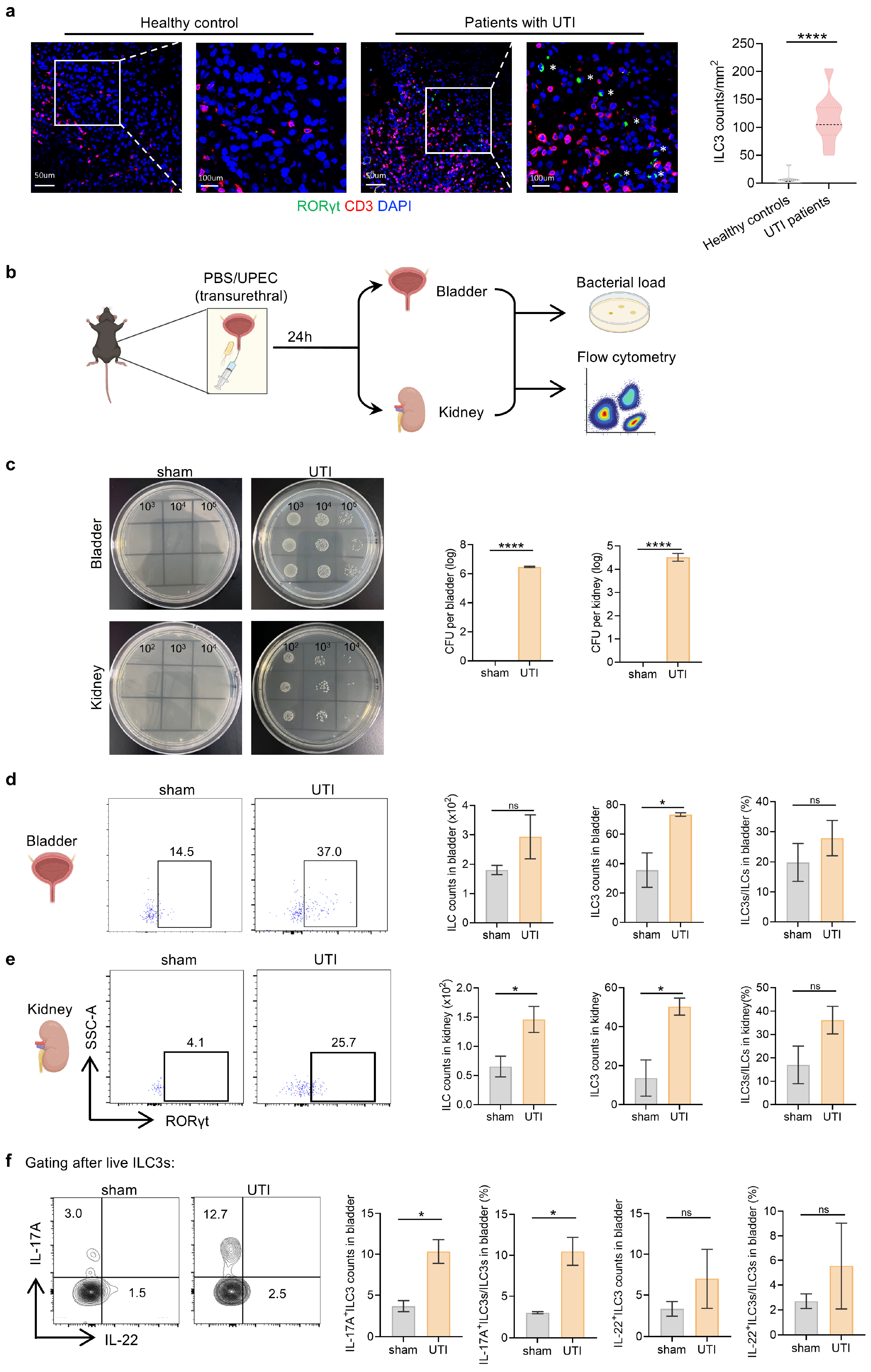 Biomedicines 14 00078 g001