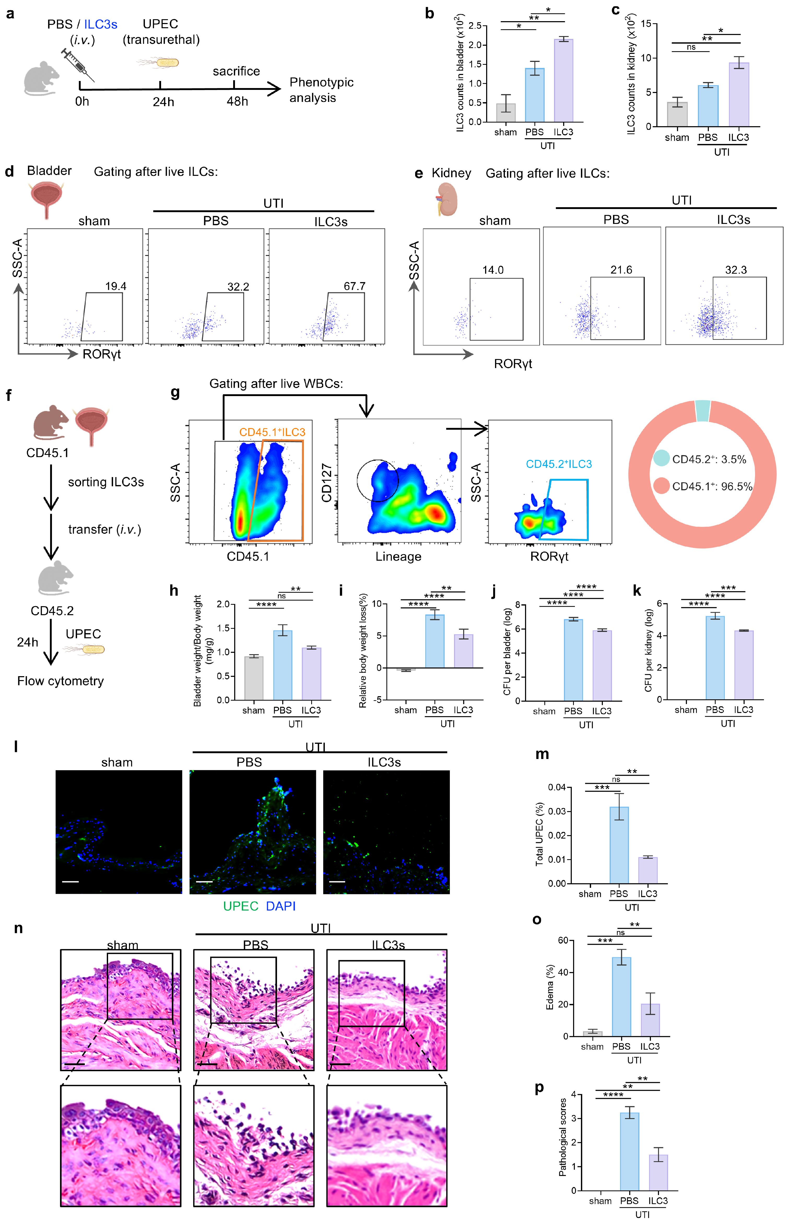 Biomedicines 14 00078 g002