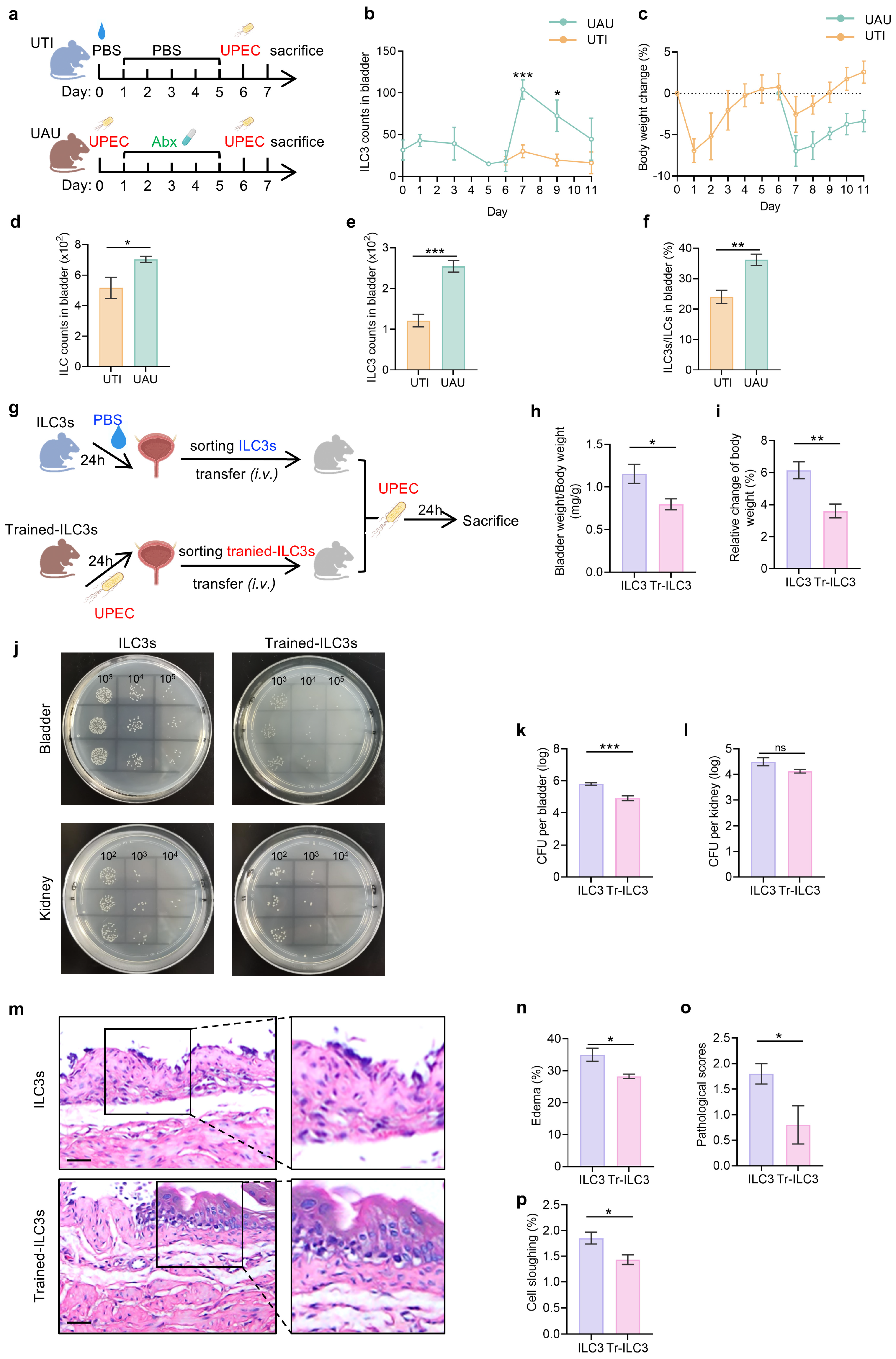 Biomedicines 14 00078 g004