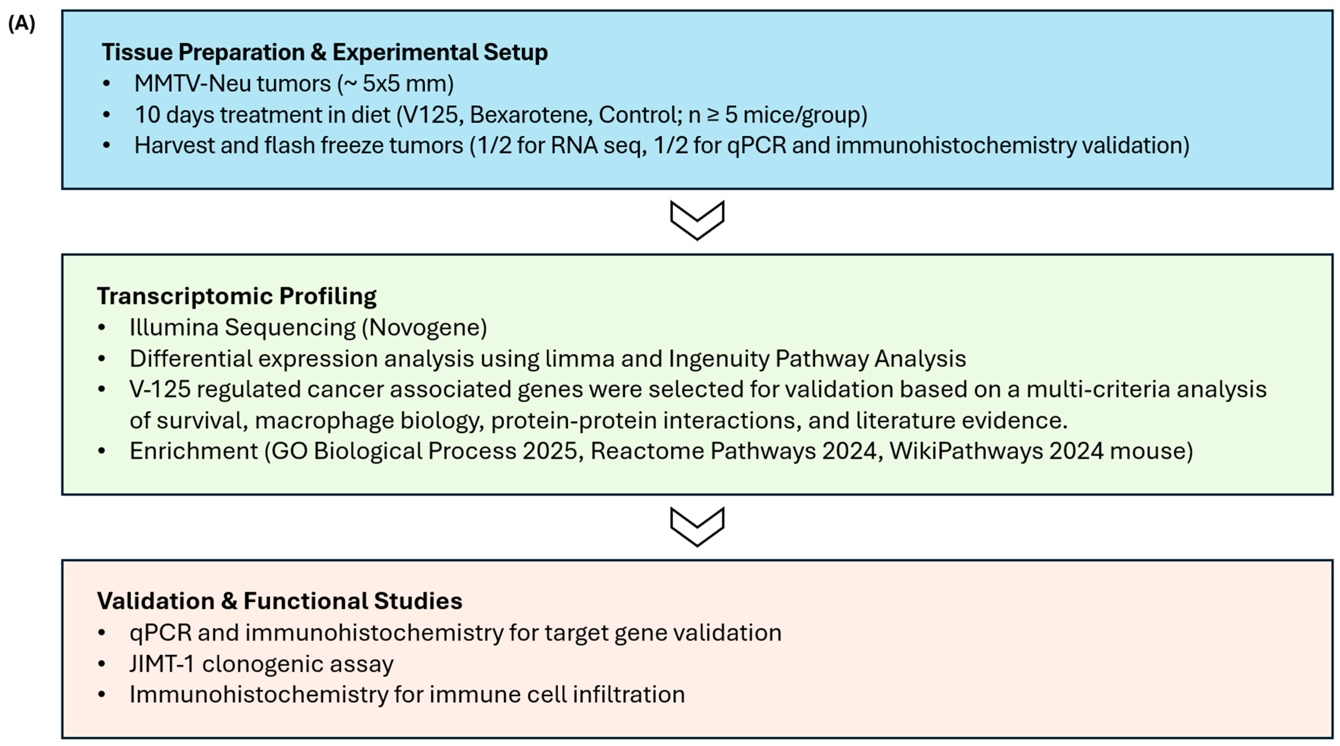 Biomedicines 14 00080 g001a