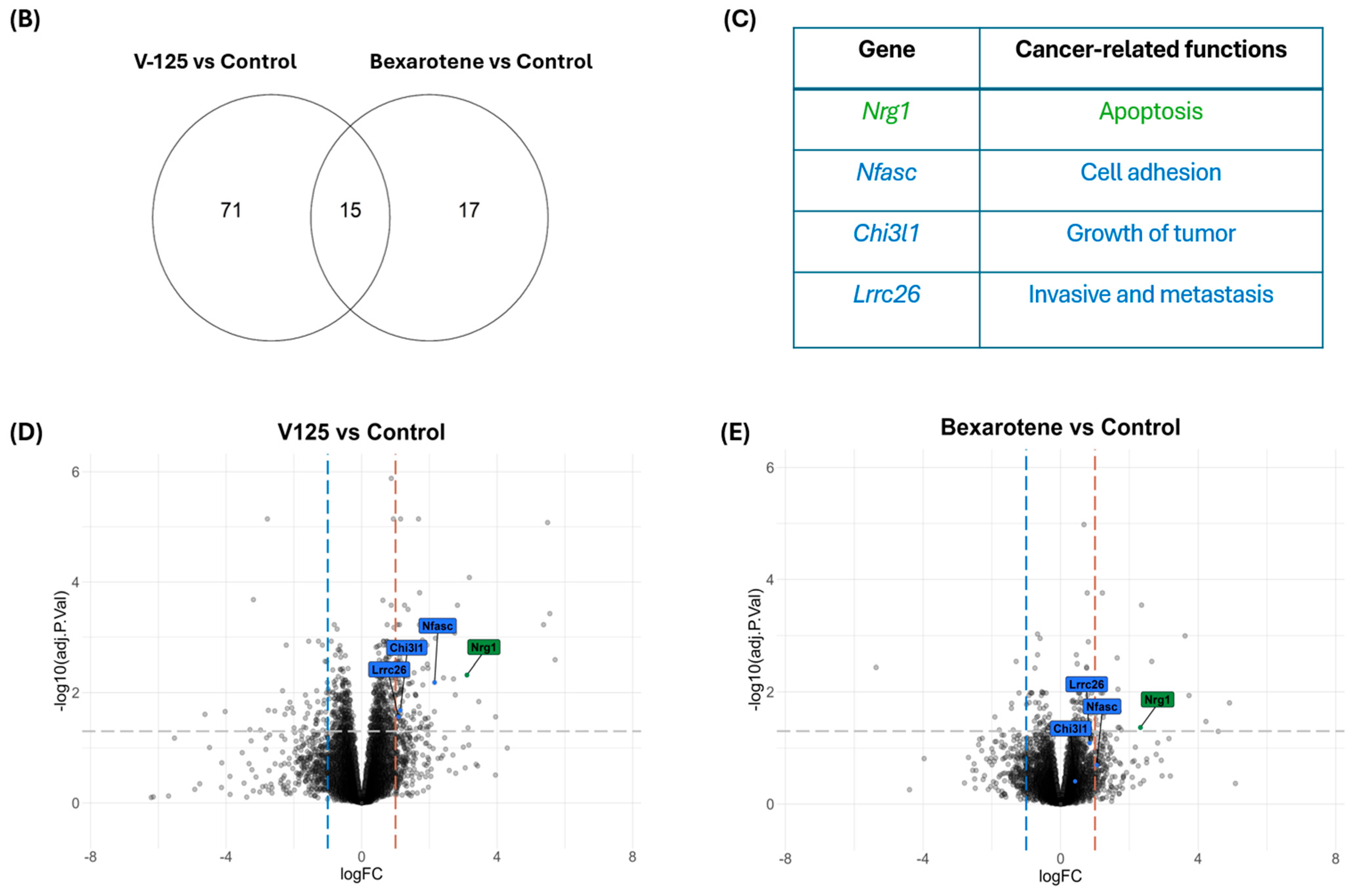 Biomedicines 14 00080 g001b