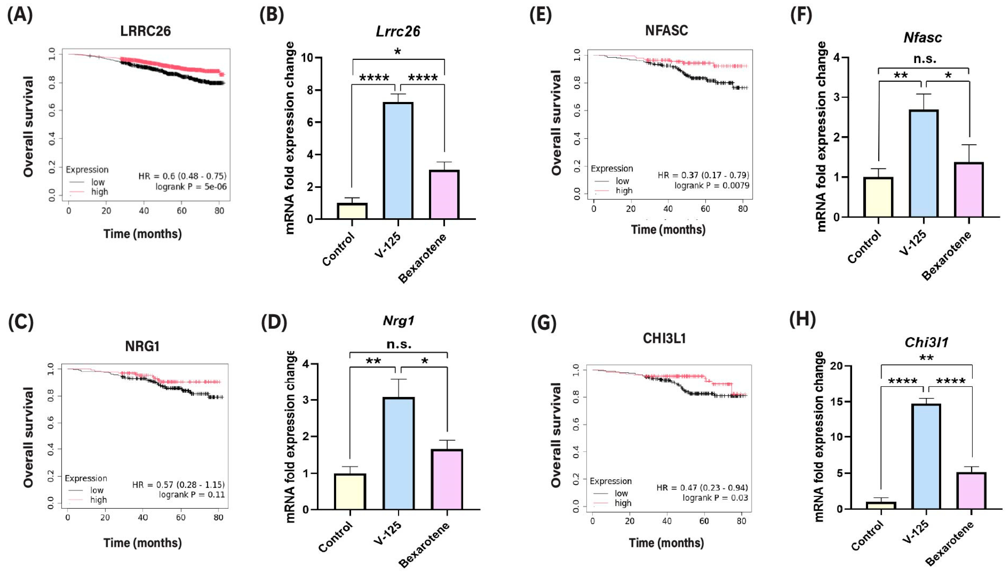 Biomedicines 14 00080 g002