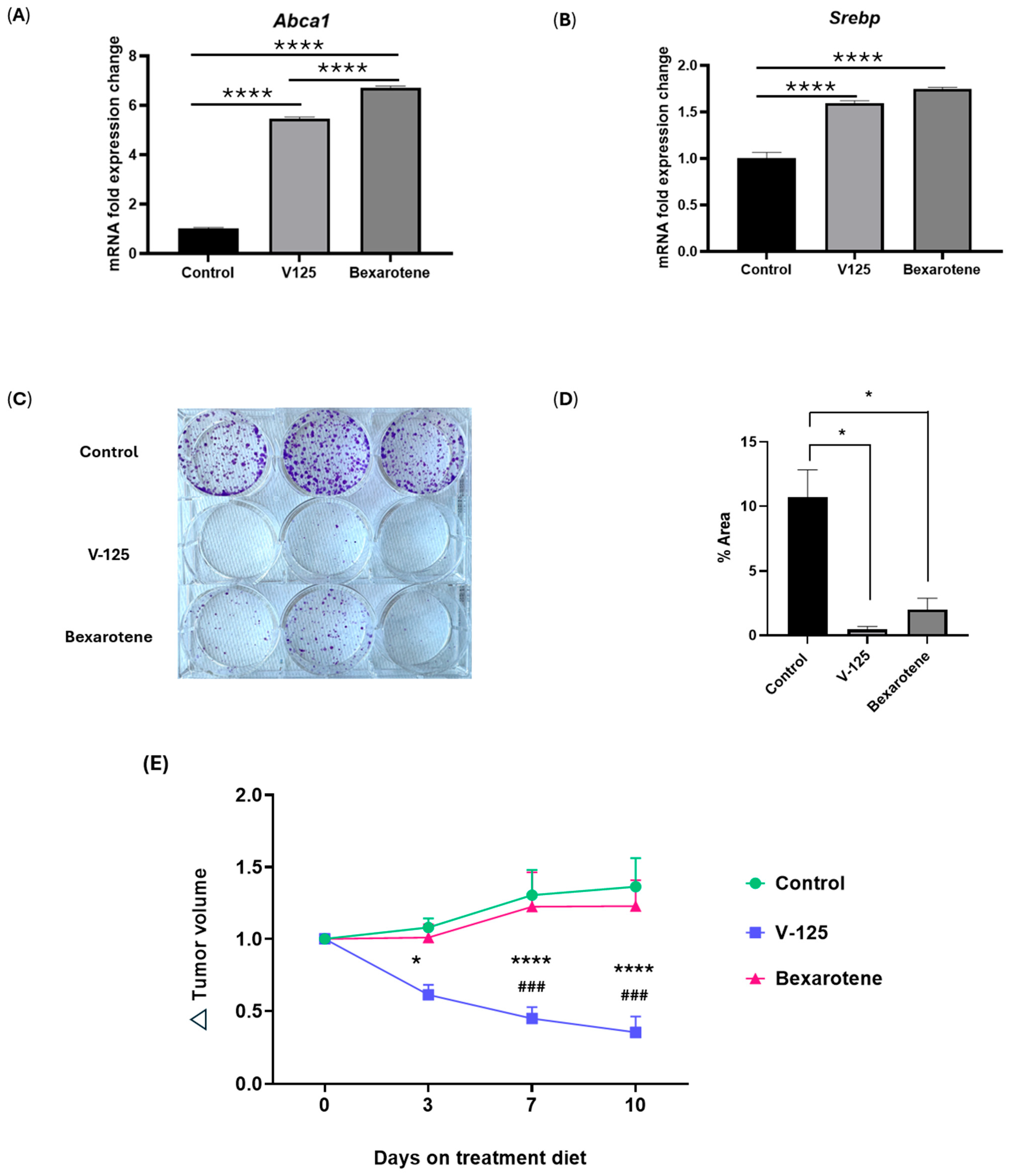 Biomedicines 14 00080 g004