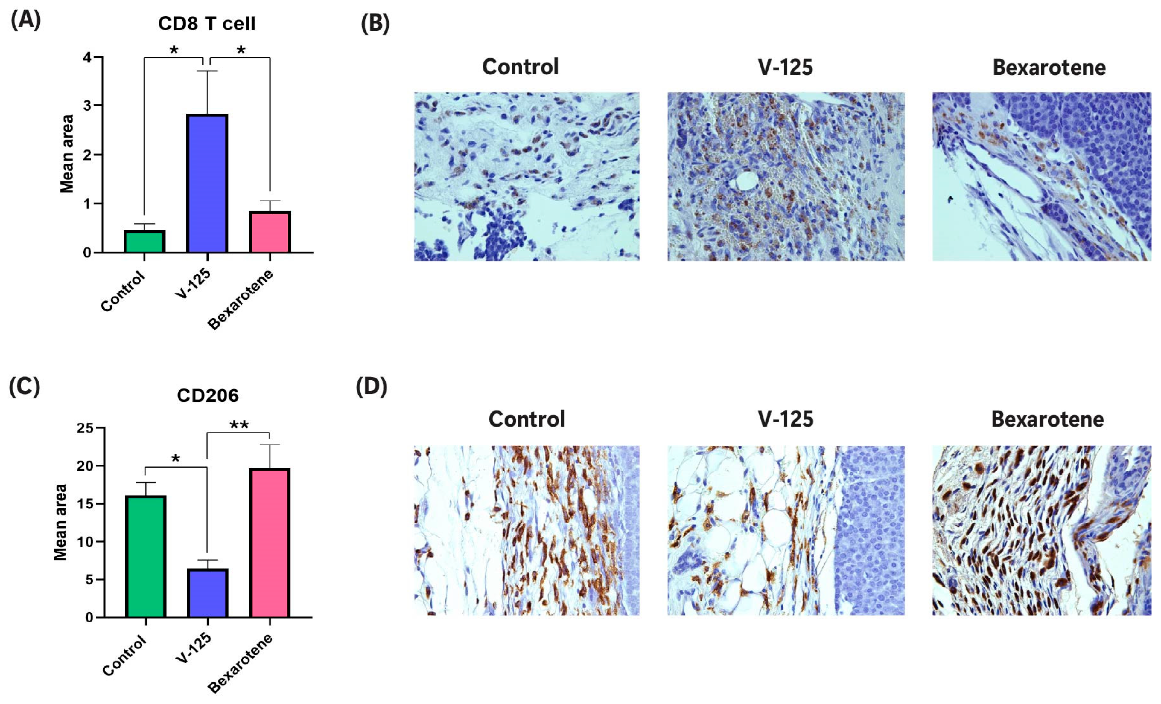 Biomedicines 14 00080 g006a