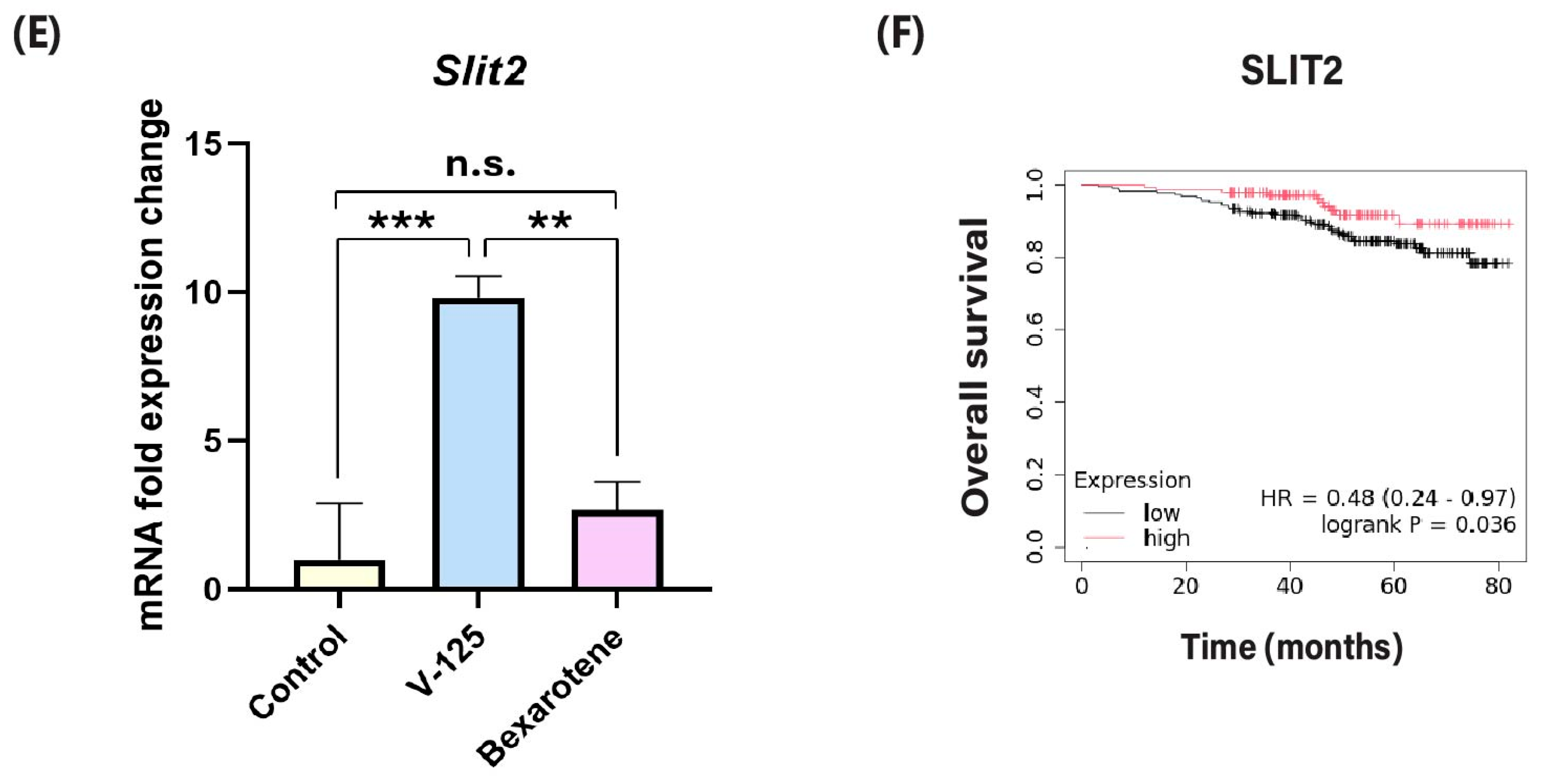 Biomedicines 14 00080 g006b
