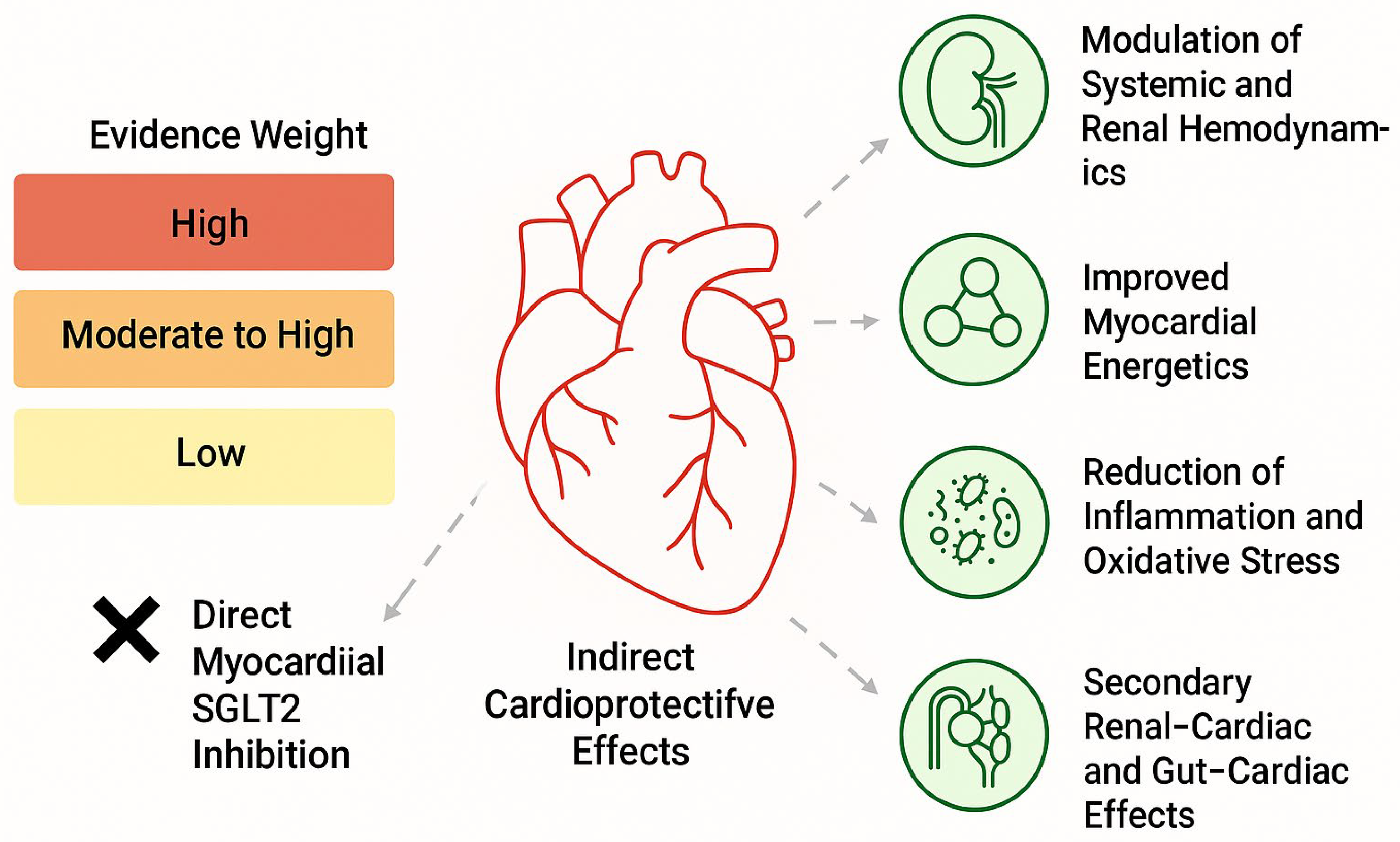 Biomedicines 14 00081 g001