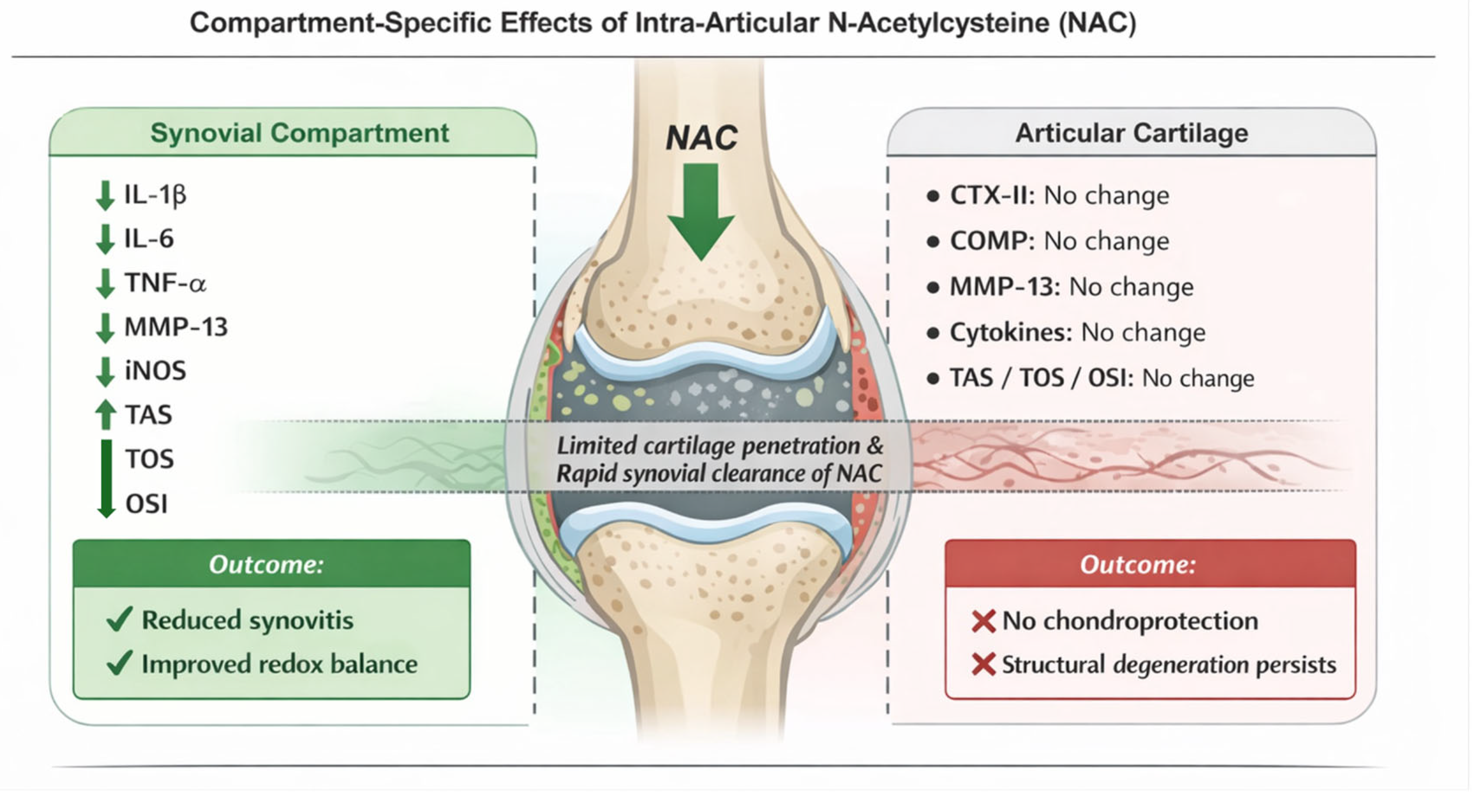 Biomedicines 14 00086 g005