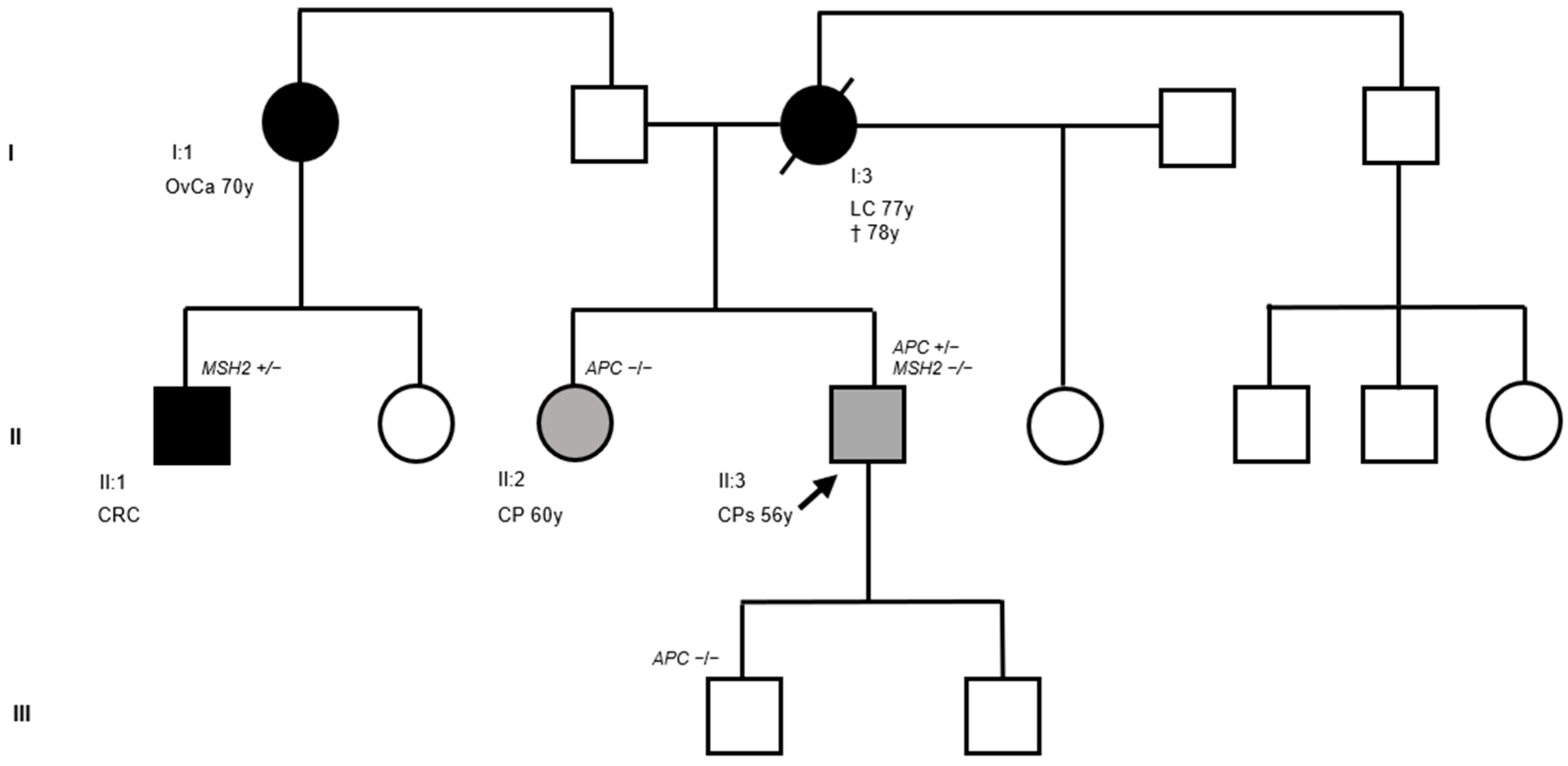 Biomedicines 14 00087 g001 Biomedicines 14 00087 g001