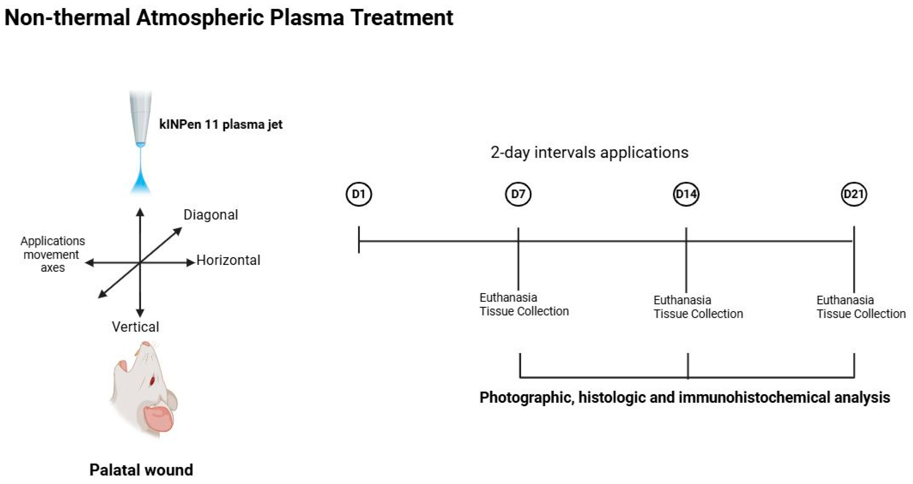 Biomedicines 14 00089 g001