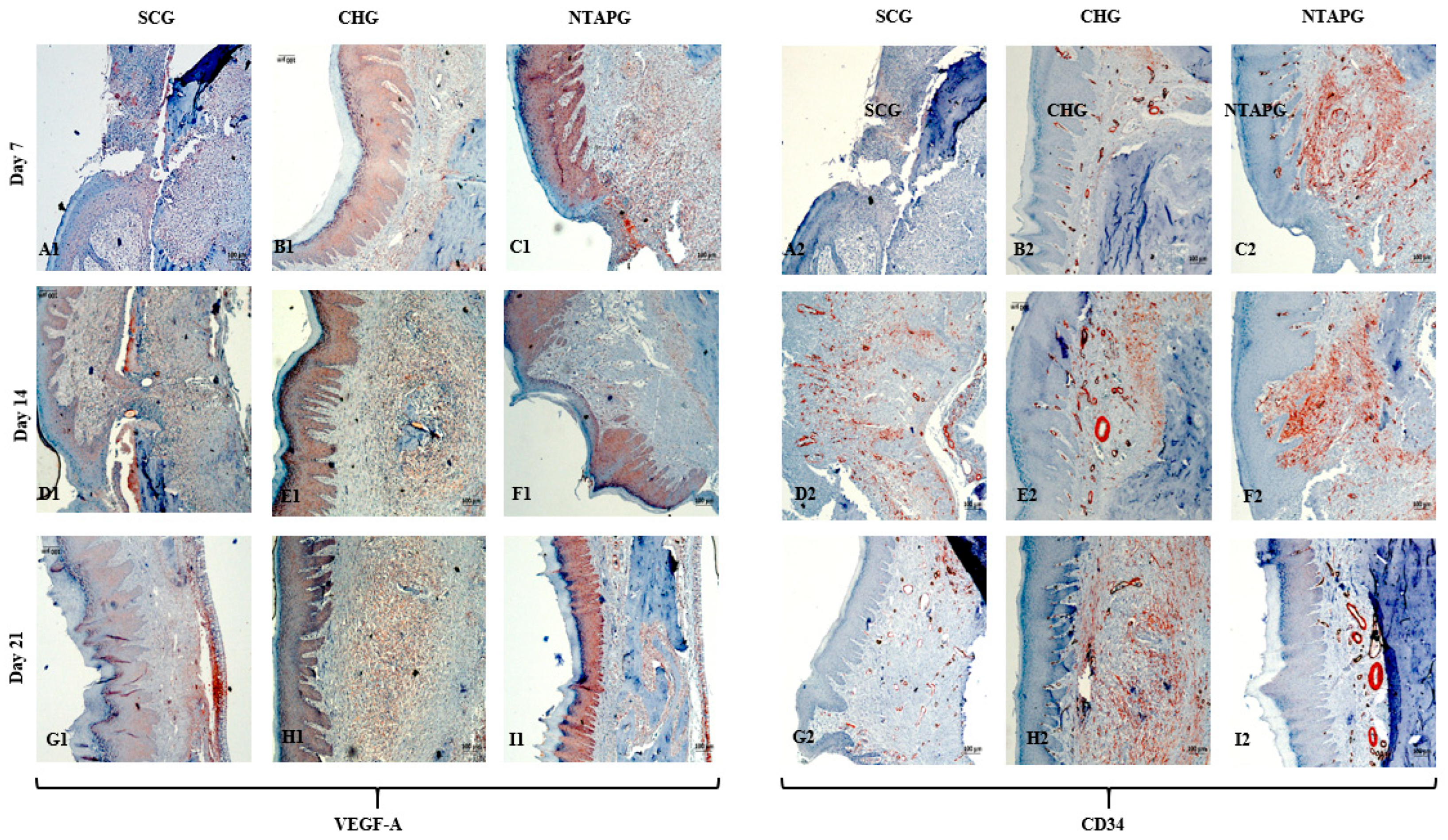 Biomedicines 14 00089 g008