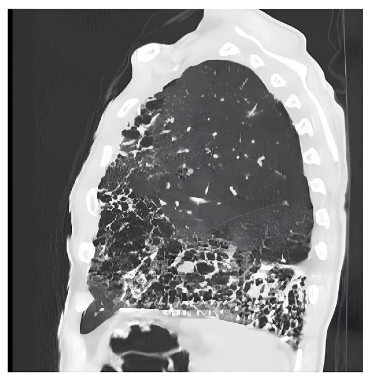 Biomedicines 14 00090 g003 Biomedicines 14 00090 g003