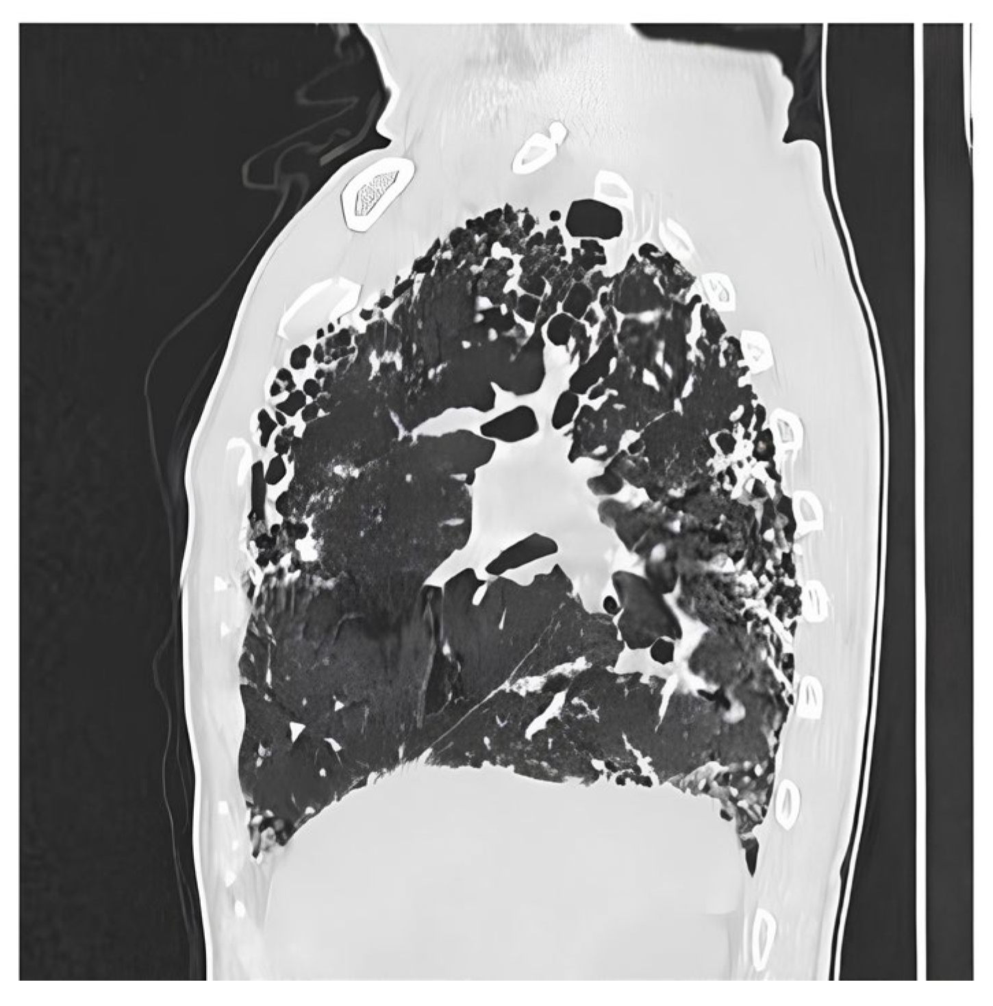 Biomedicines 14 00090 g004 Biomedicines 14 00090 g004