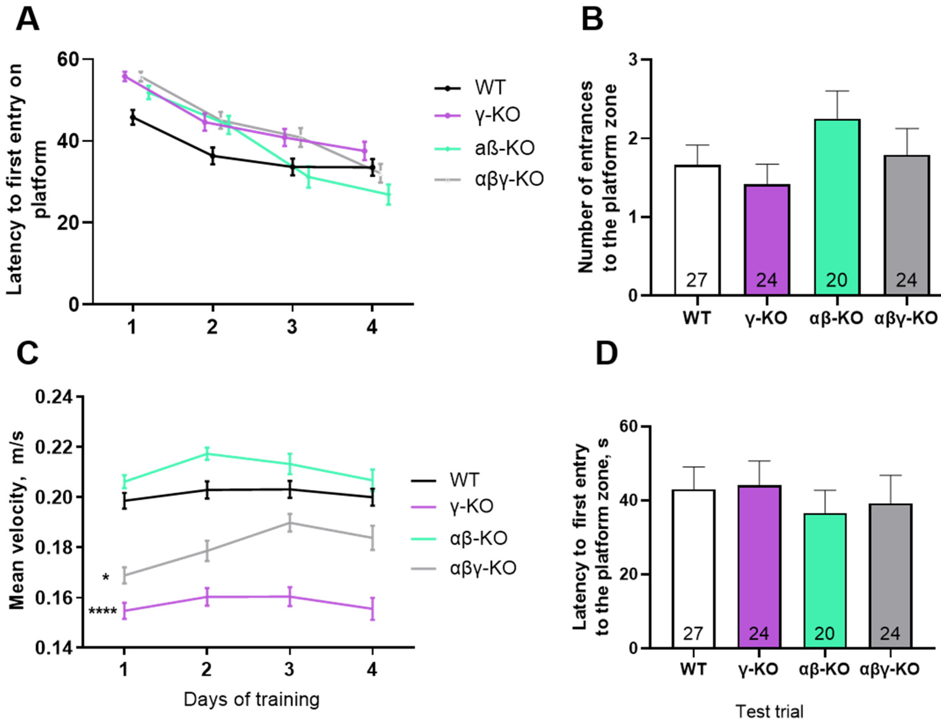 Biomedicines 14 00092 g007
