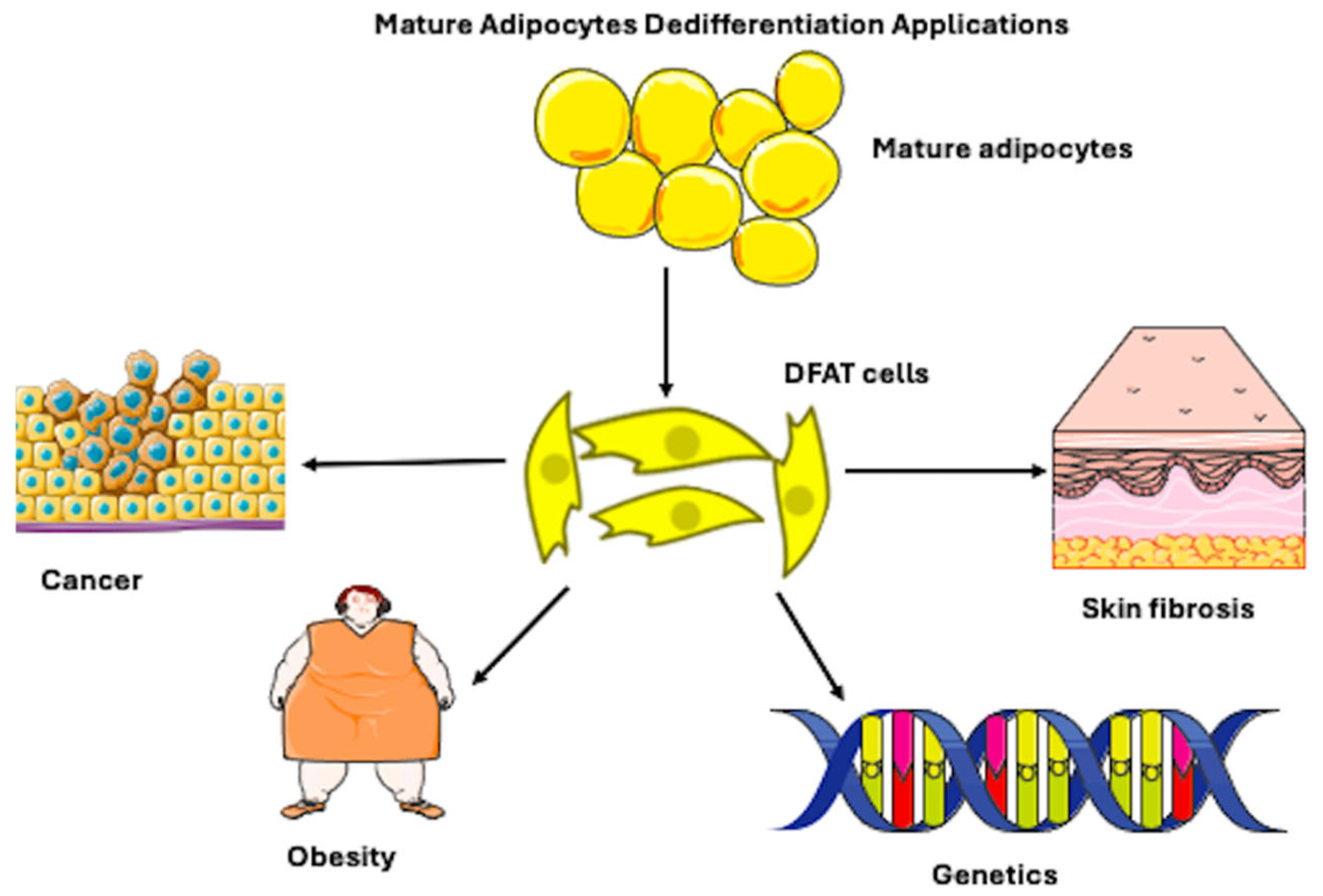 Biomedicines 14 00095 g001