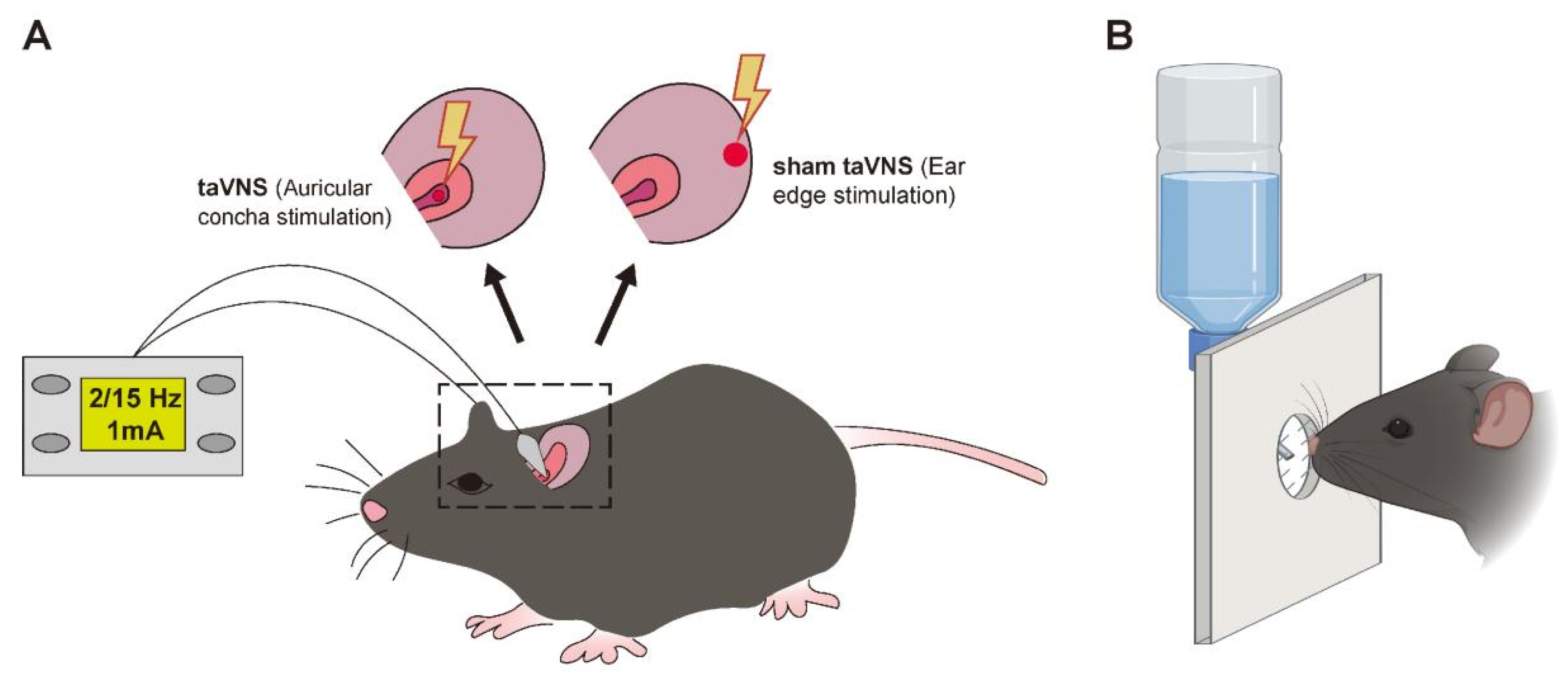 Biomedicines 14 00096 g001 Biomedicines 14 00096 g001