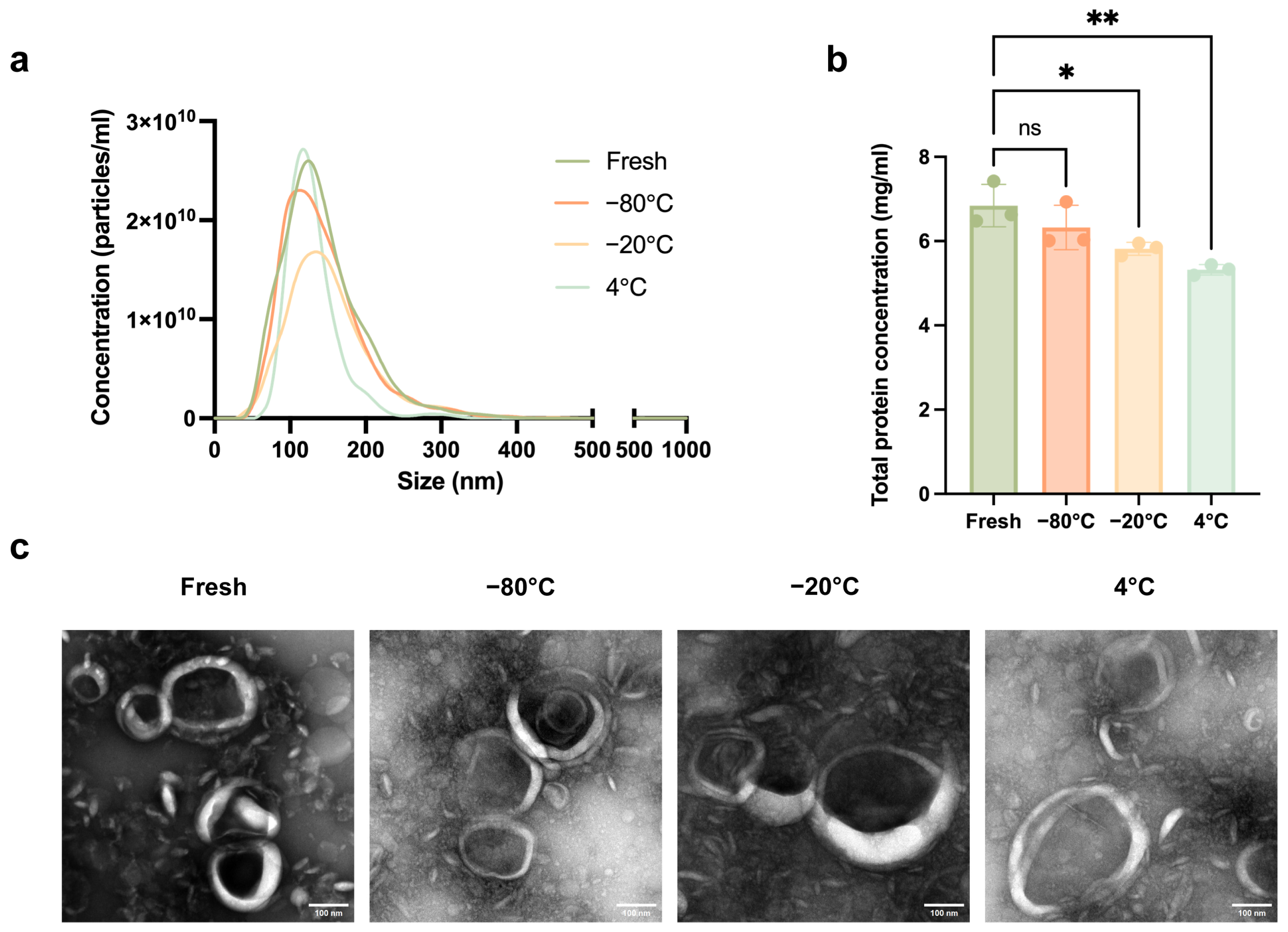 Biomedicines 14 00099 g003 Biomedicines 14 00099 g003