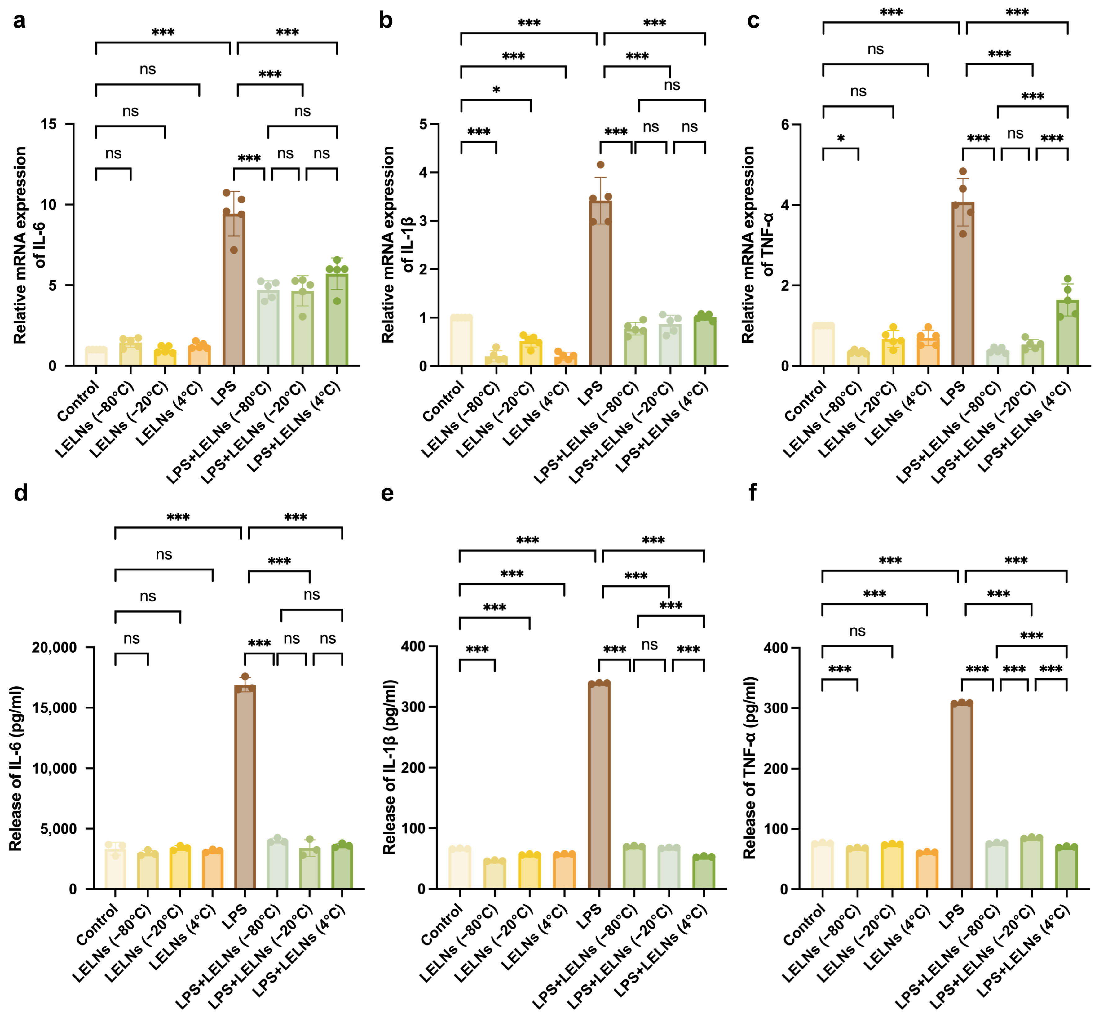 Biomedicines 14 00099 g004 Biomedicines 14 00099 g004