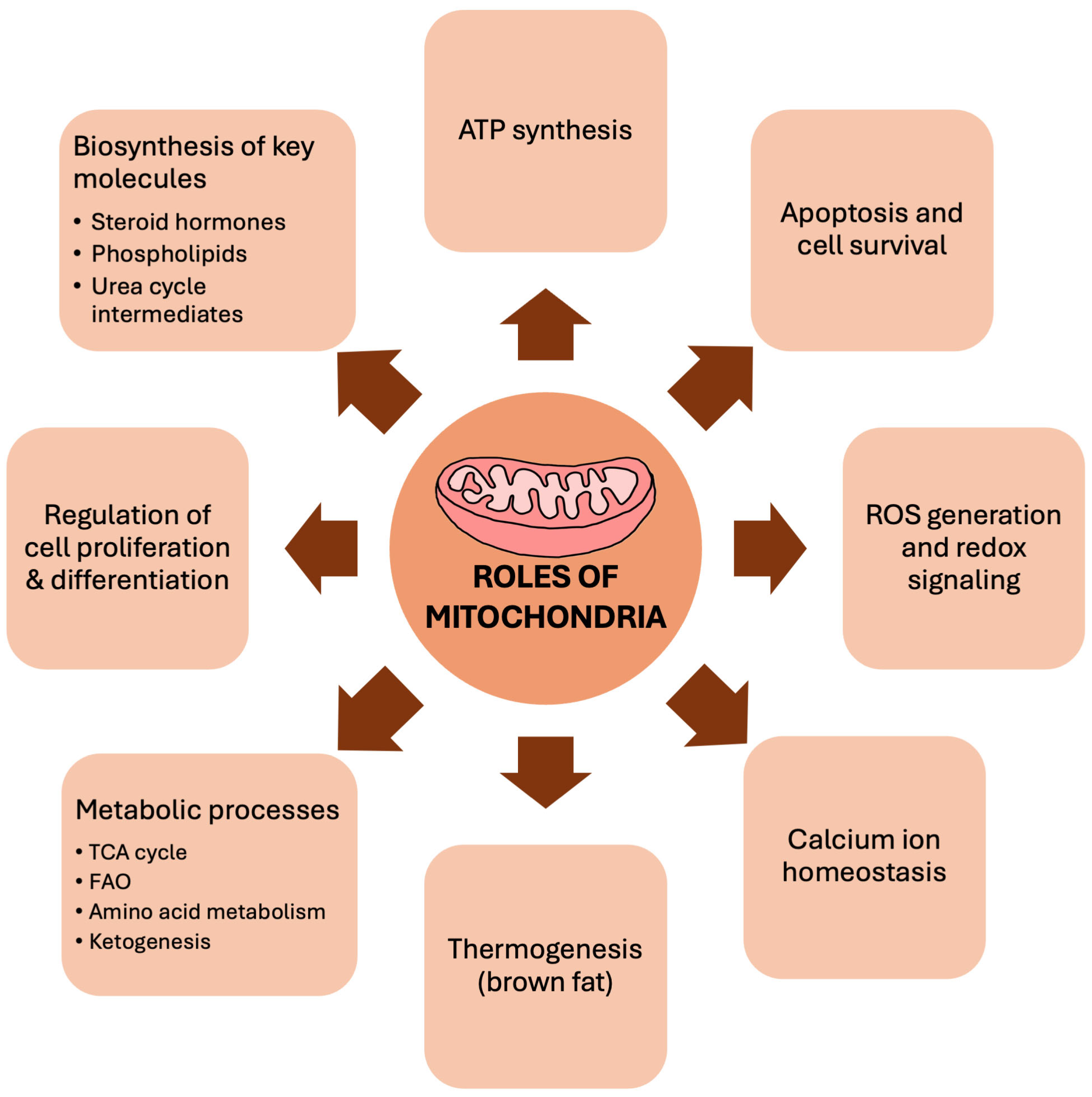 Biomedicines 14 00100 g001 Biomedicines 14 00100 g001