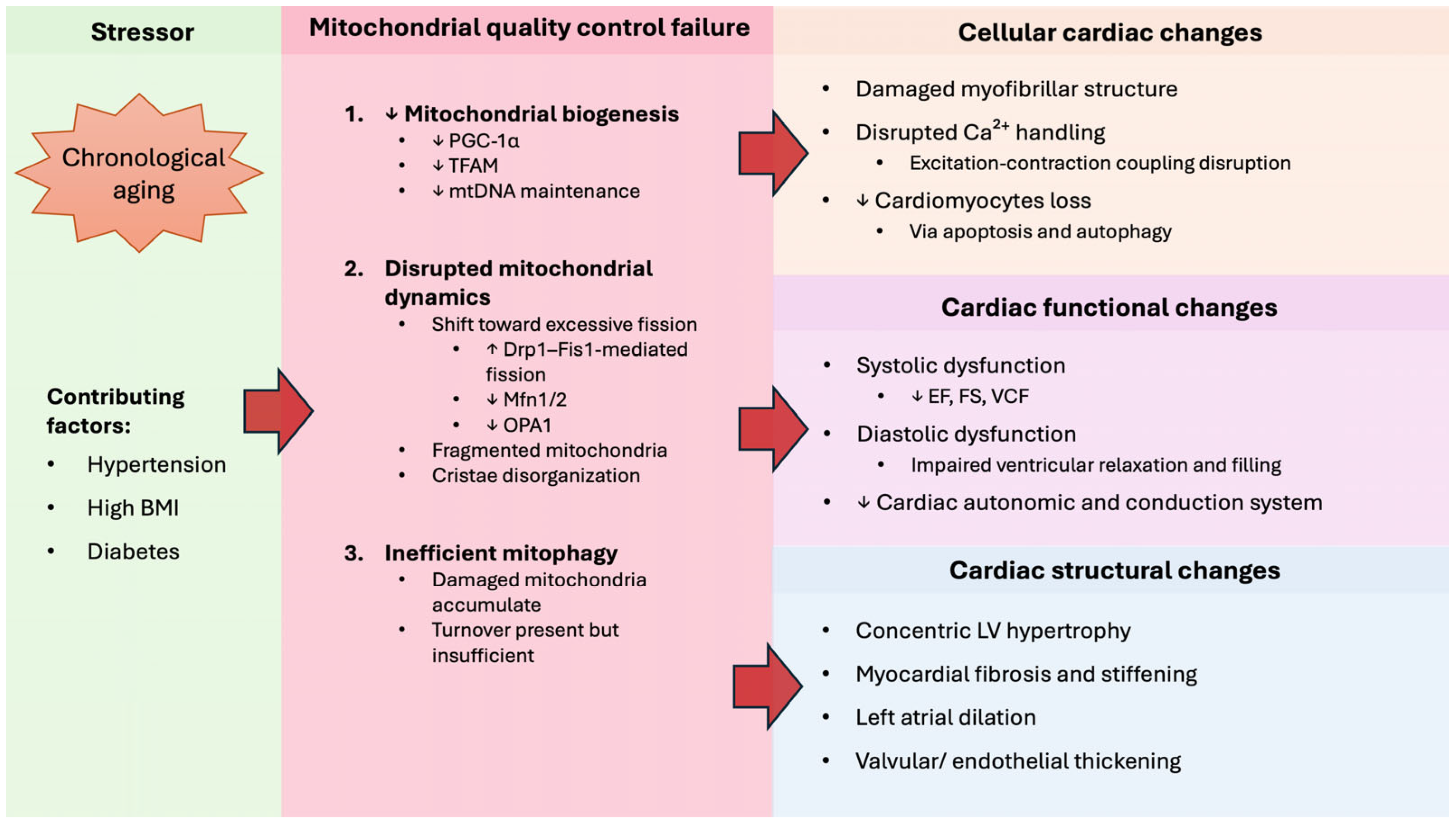 Biomedicines 14 00100 g002 Biomedicines 14 00100 g002