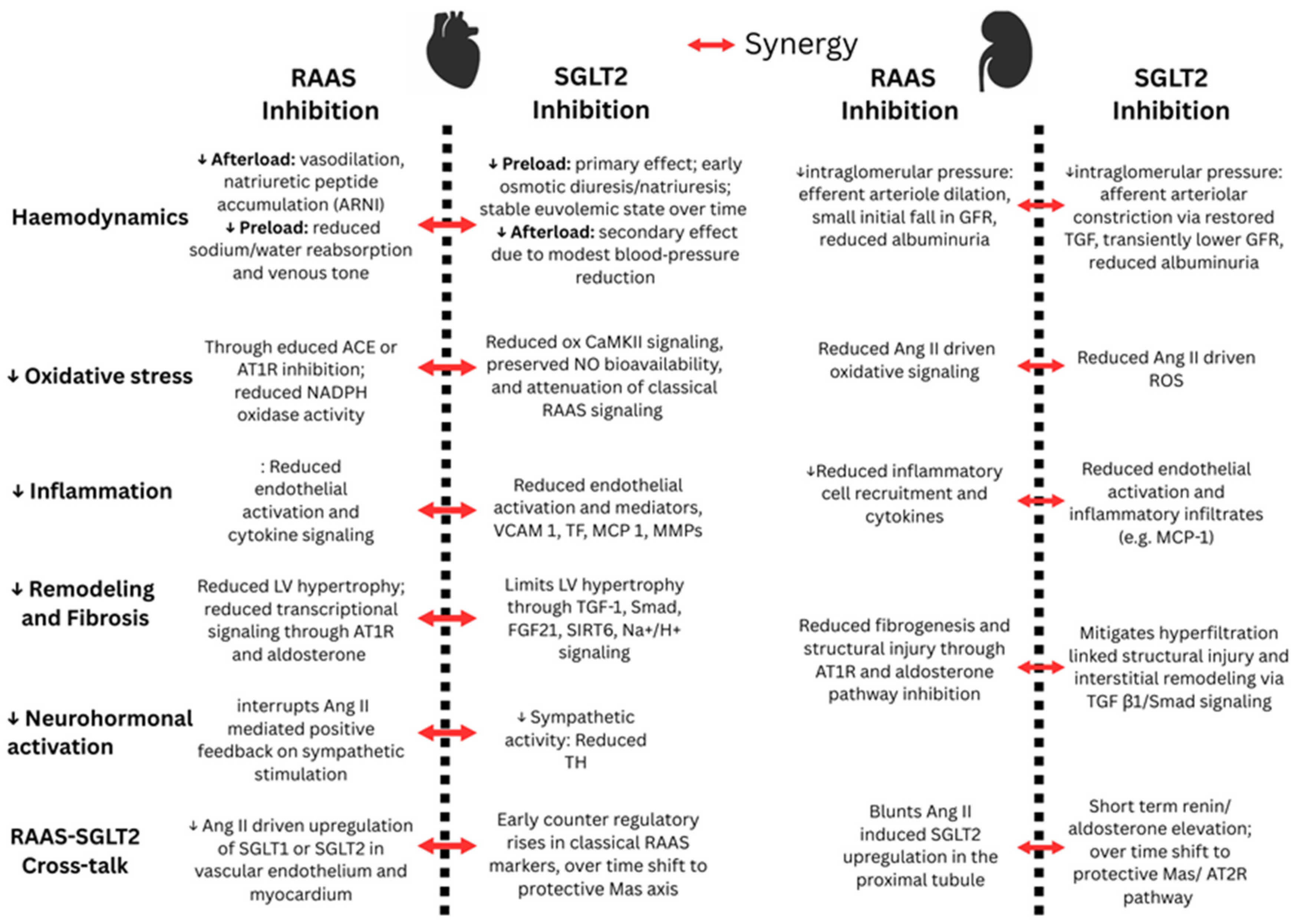 Biomedicines 14 00101 g002 Biomedicines 14 00101 g002