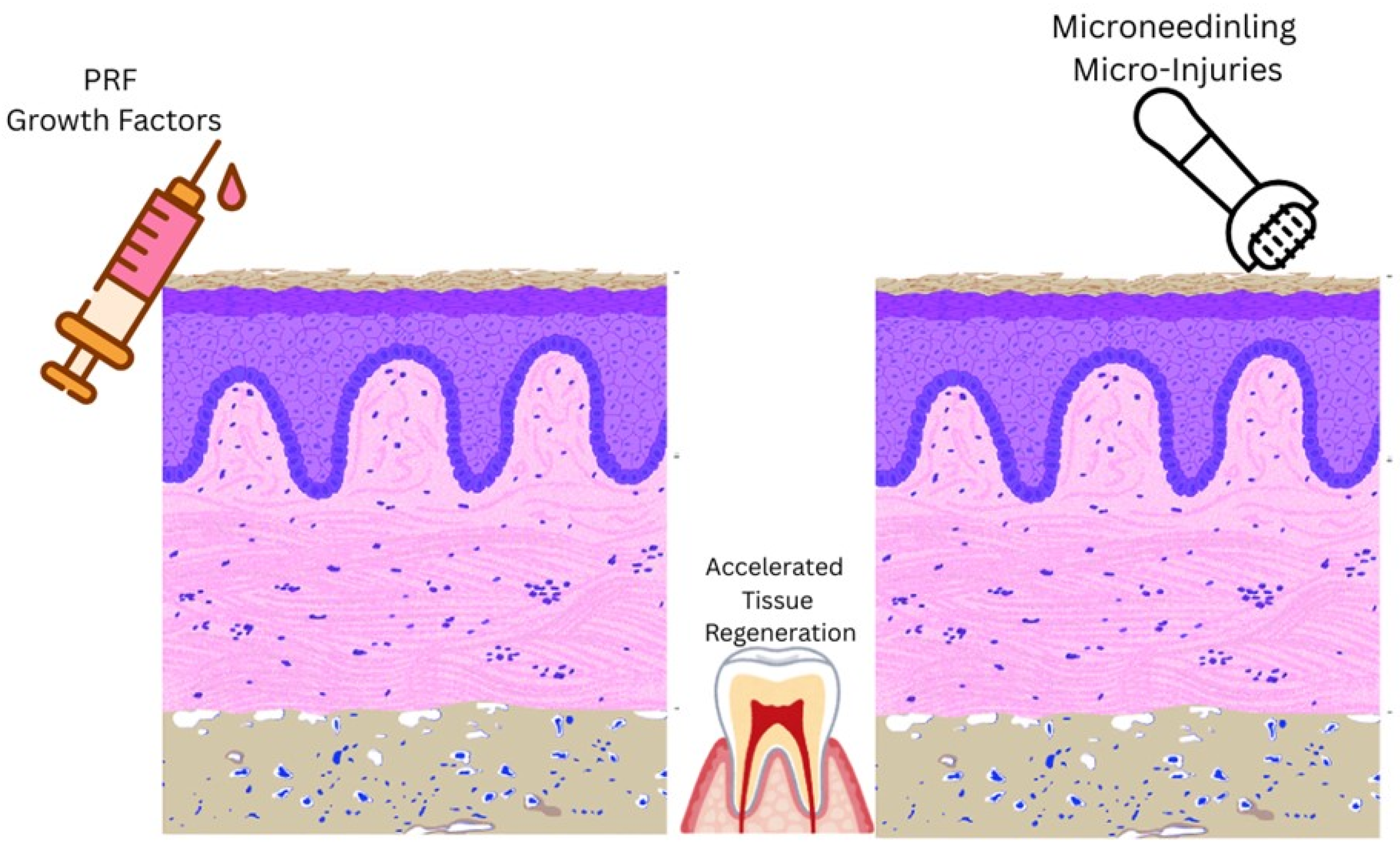 Biomedicines 14 00135 g001 Biomedicines 14 00135 g001