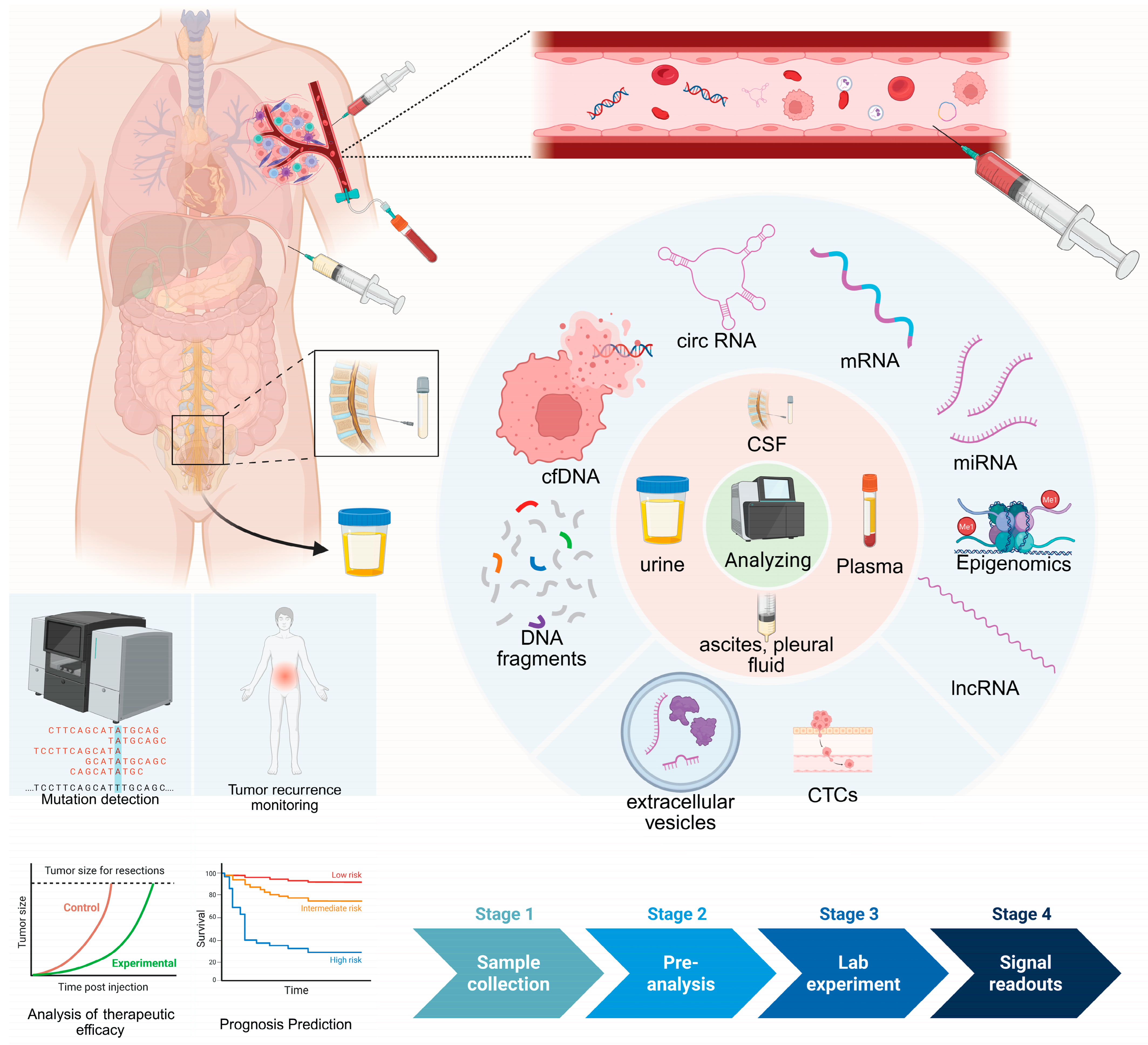Biomedicines 14 00158 g001