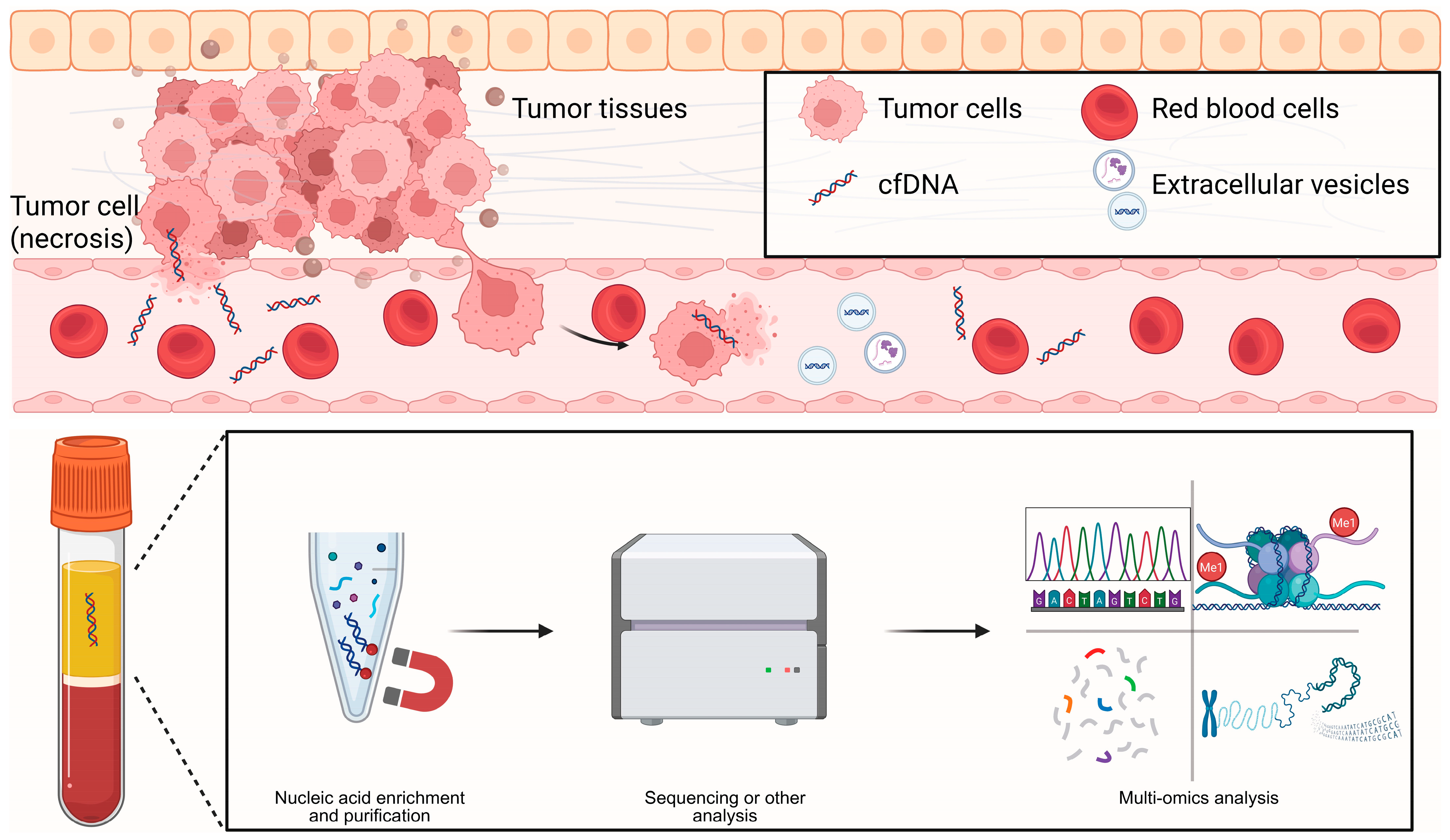 Biomedicines 14 00158 g002