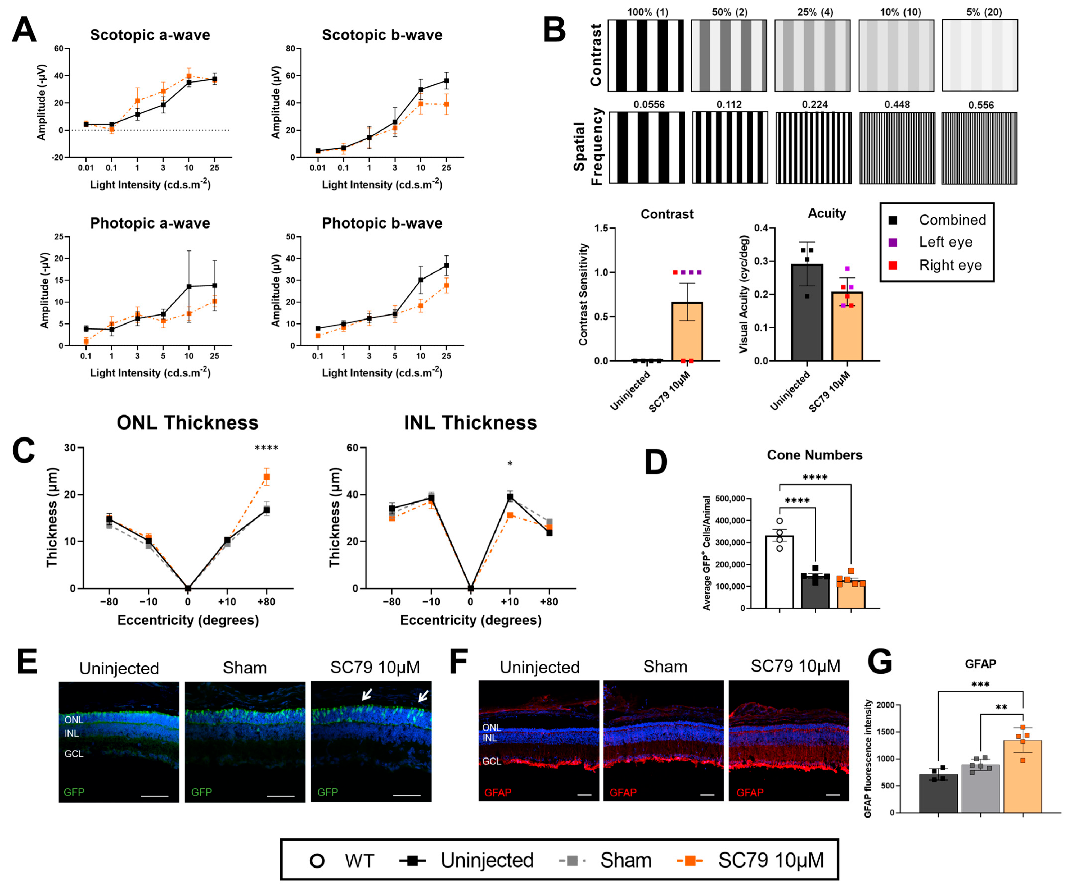 Biomedicines 14 00195 g002