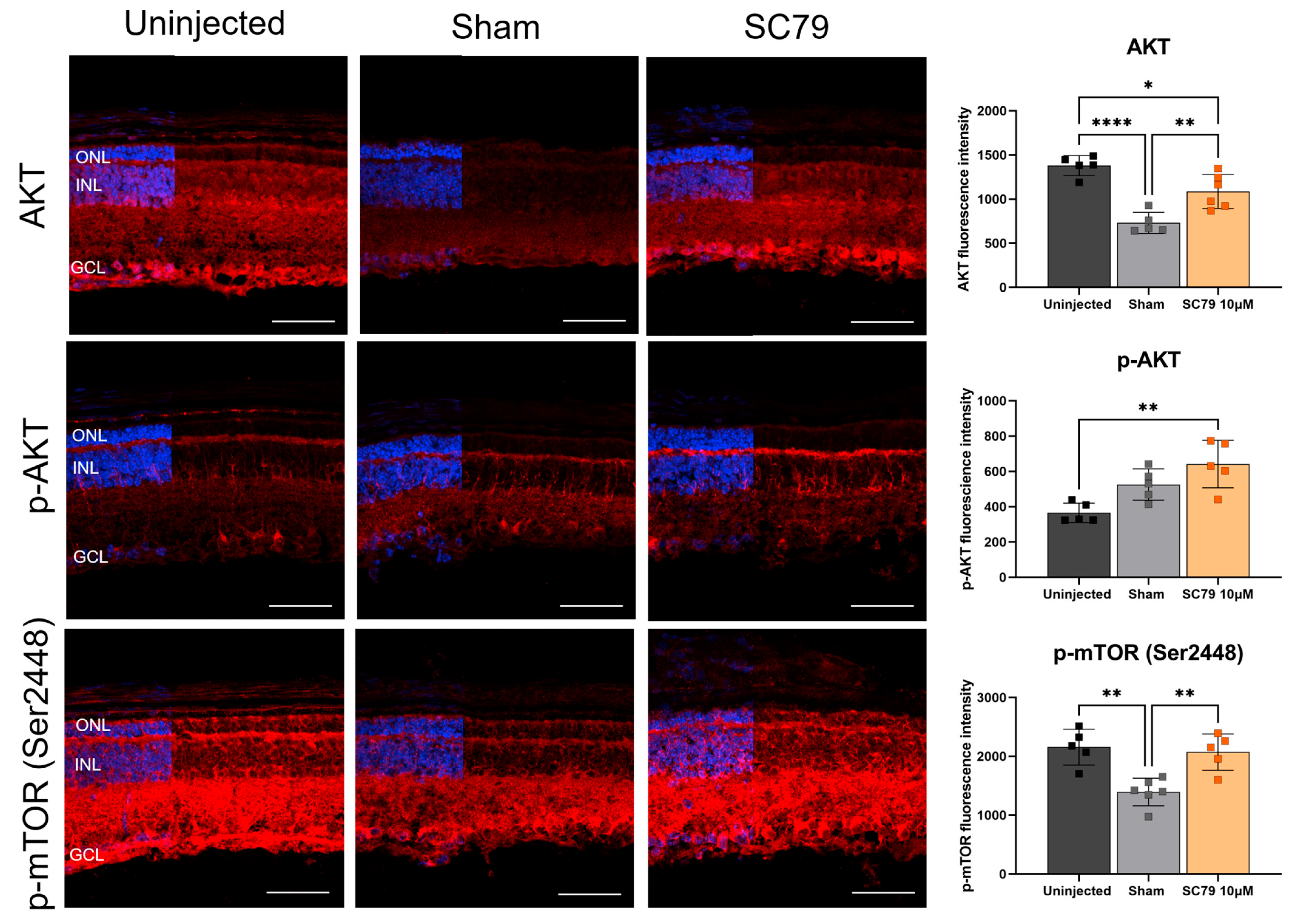 Biomedicines 14 00195 g003