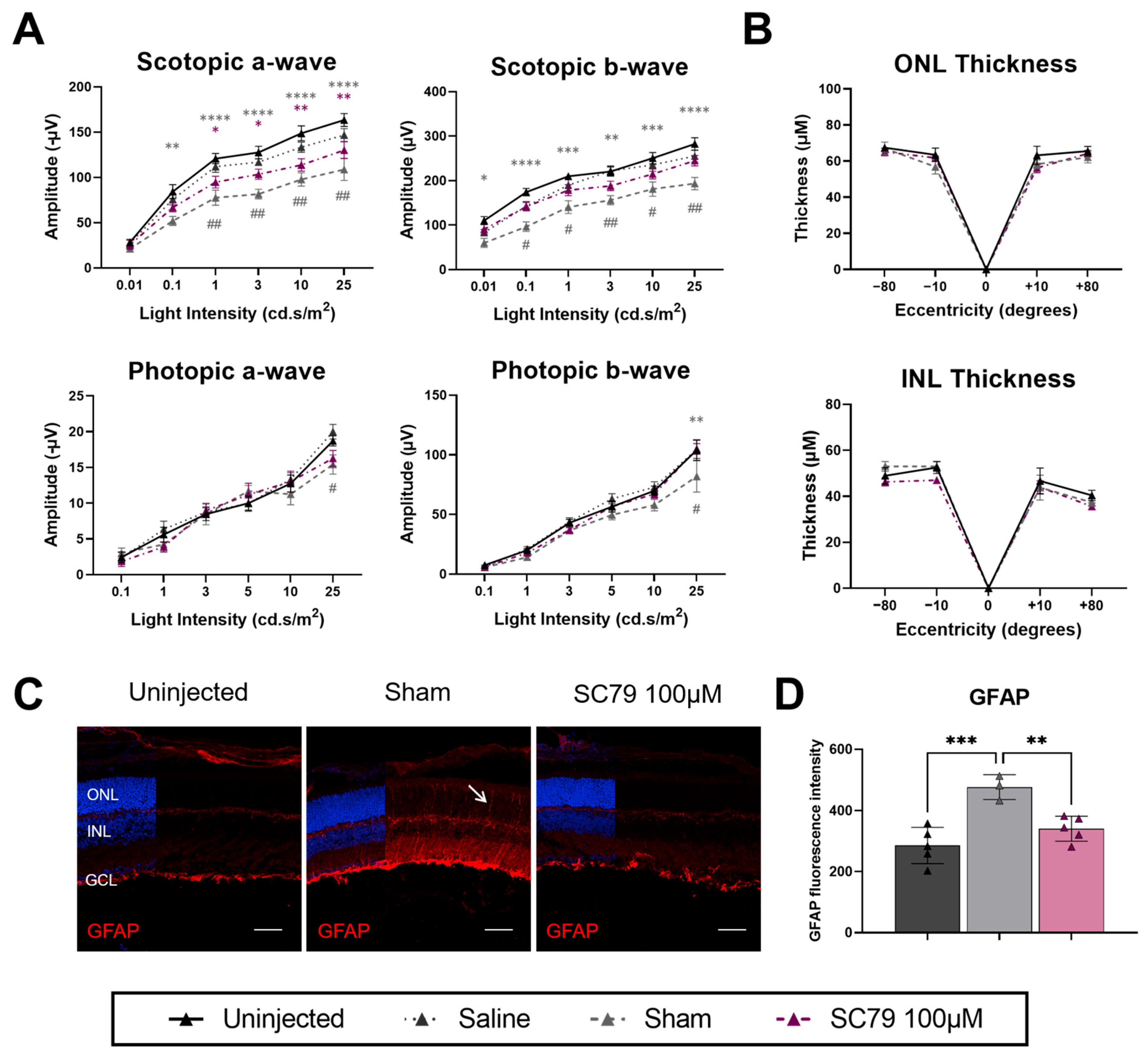 Biomedicines 14 00195 g007