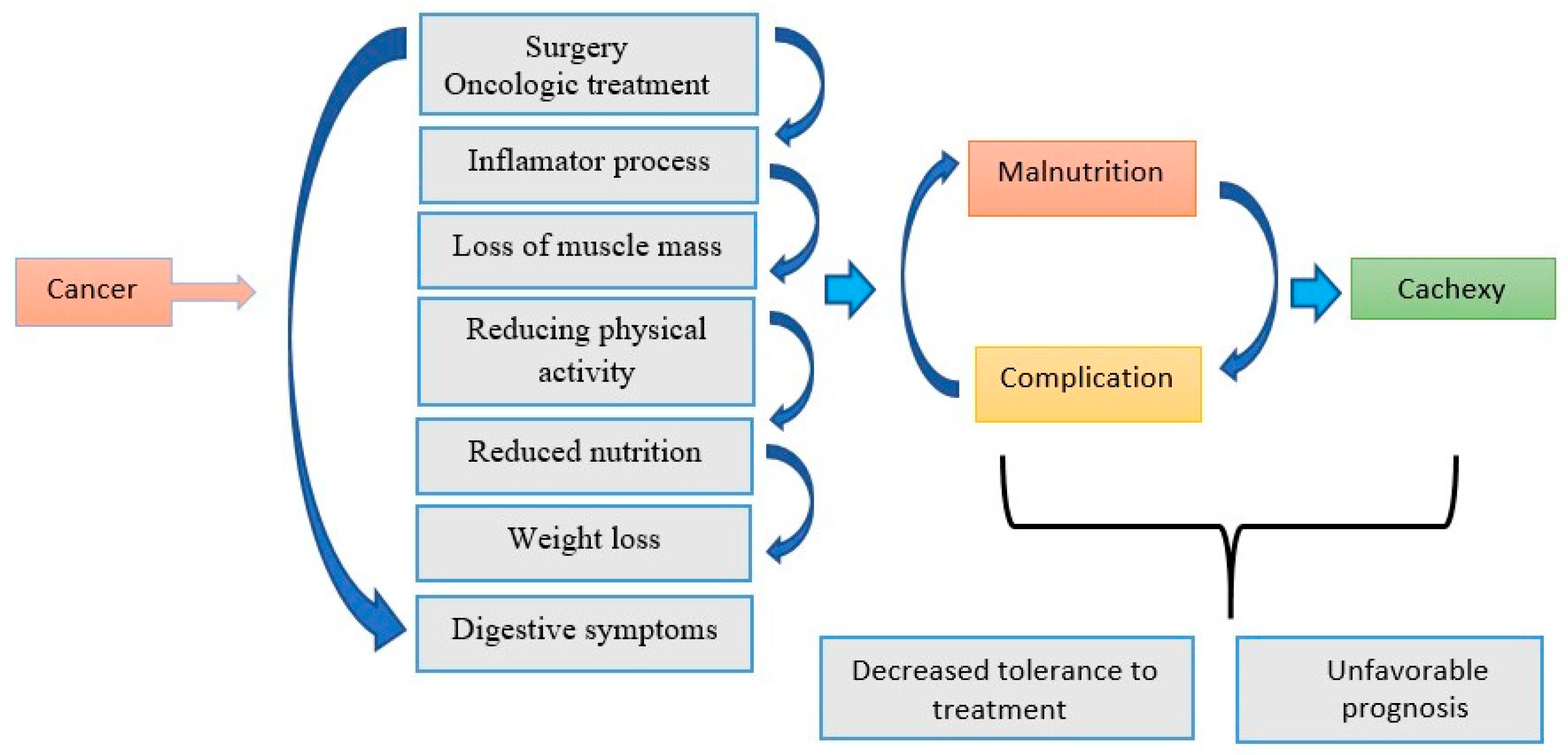 Biomedicines 14 00240 g001 Biomedicines 14 00240 g001