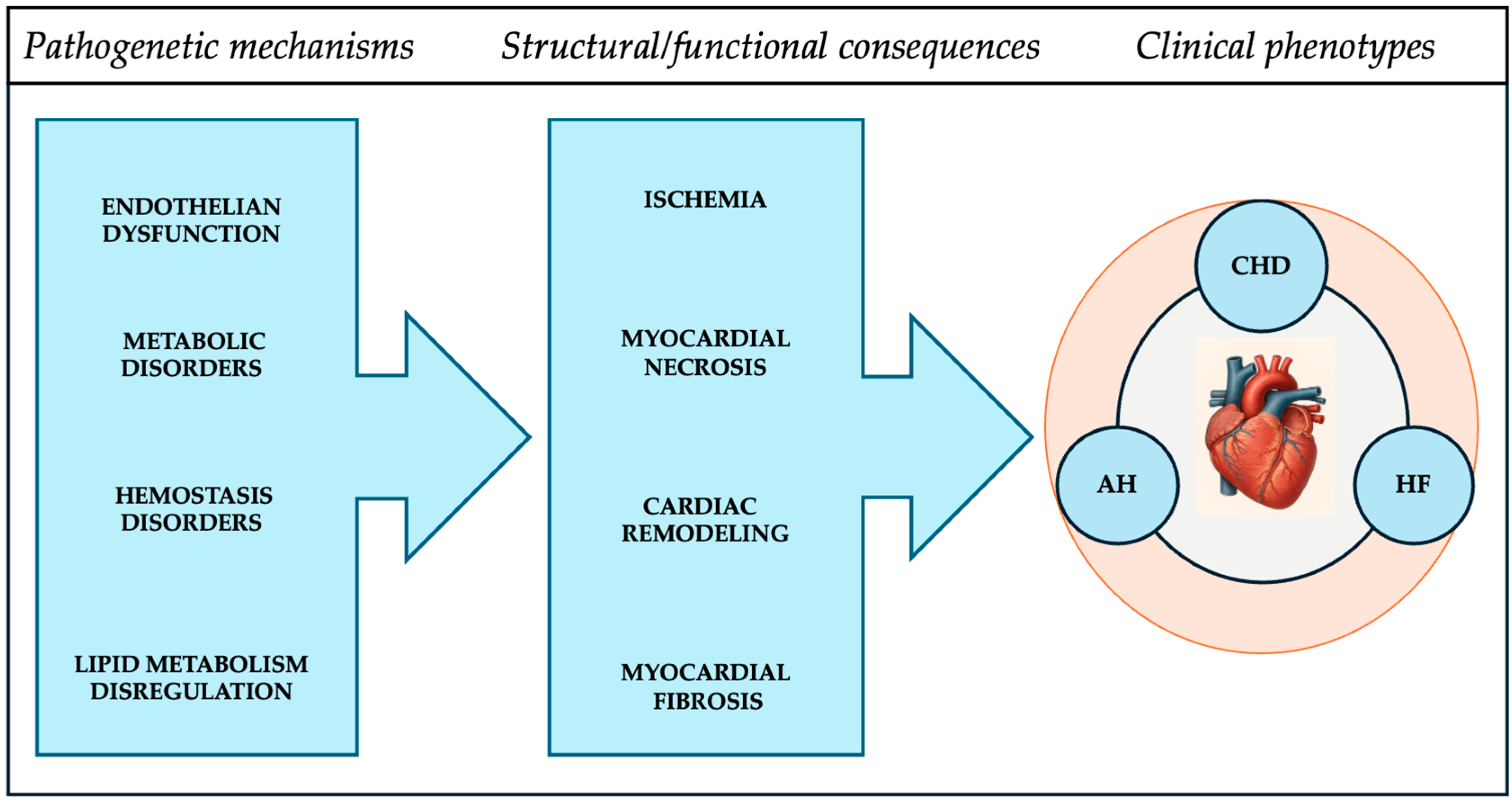 Biomedicines 14 00257 g001 Biomedicines 14 00257 g001