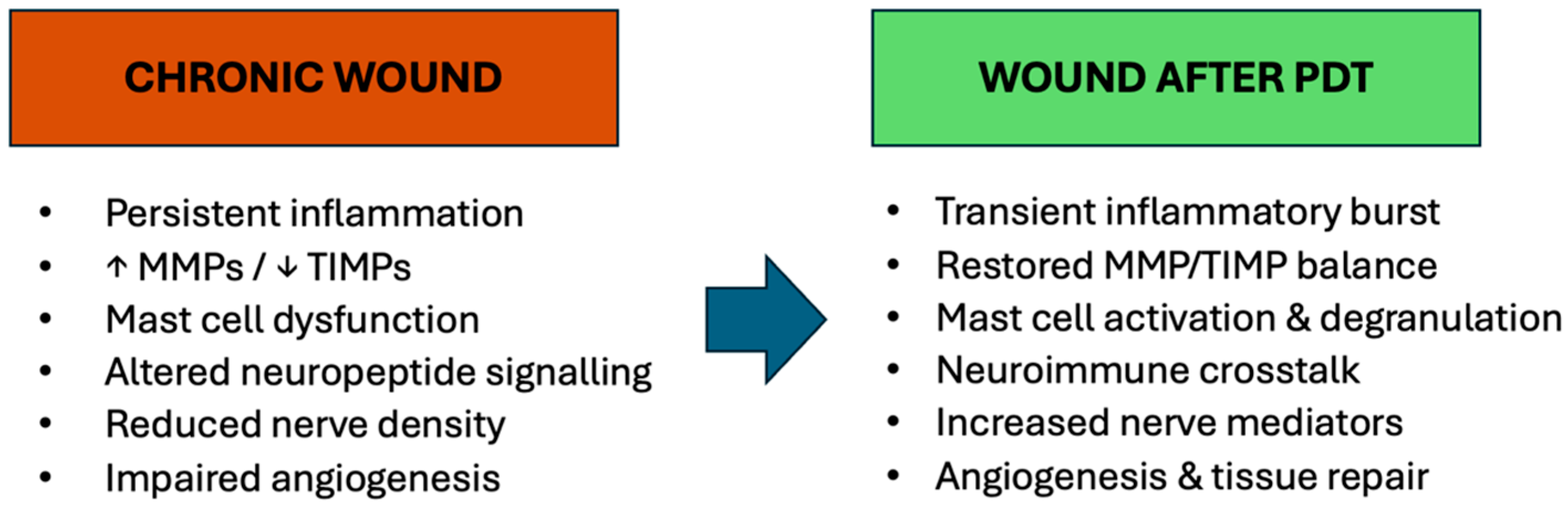 Biomedicines 14 00280 g002